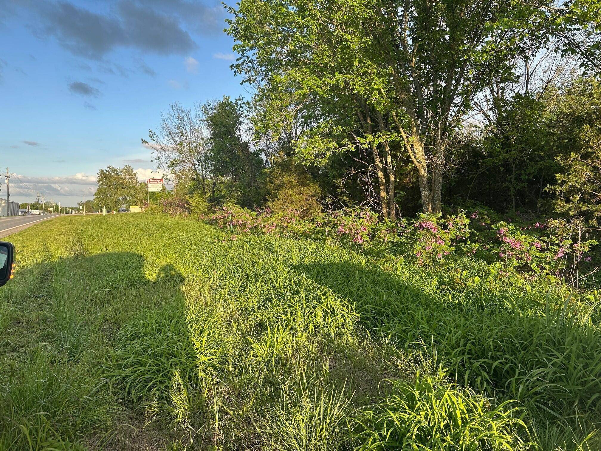000 E 7th ST, Duenweg, MO 64841