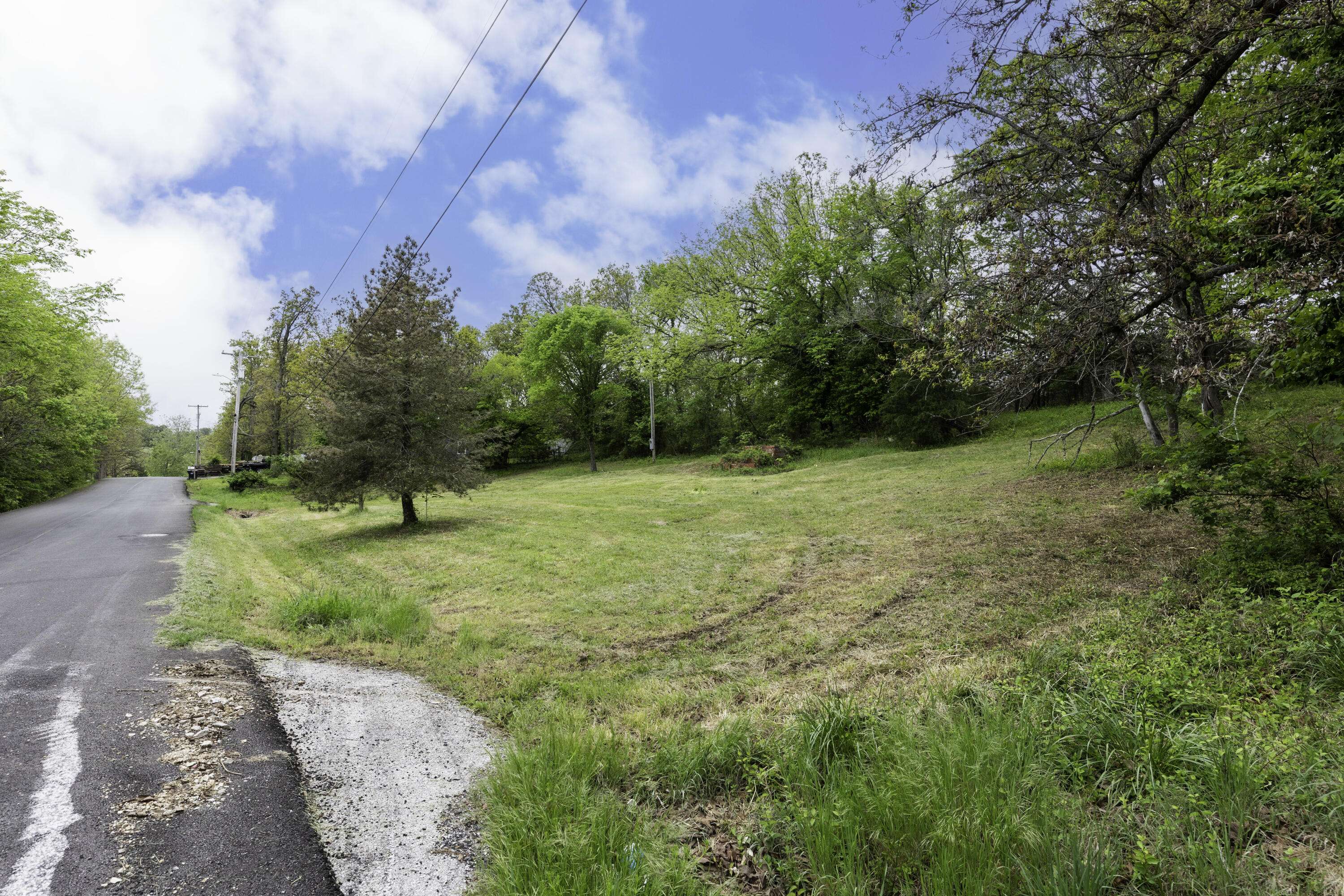 217 Woodland, Buffalo, MO 65622