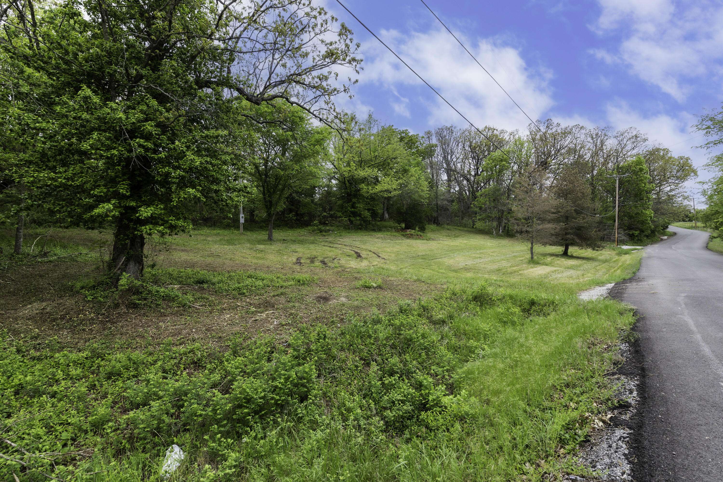 217 Woodland, Buffalo, MO 65622