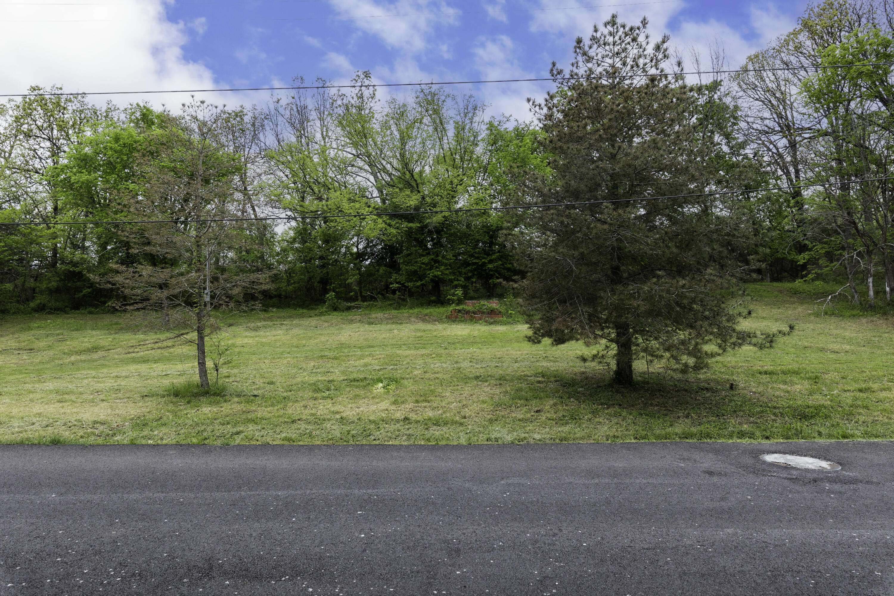 217 Woodland, Buffalo, MO 65622