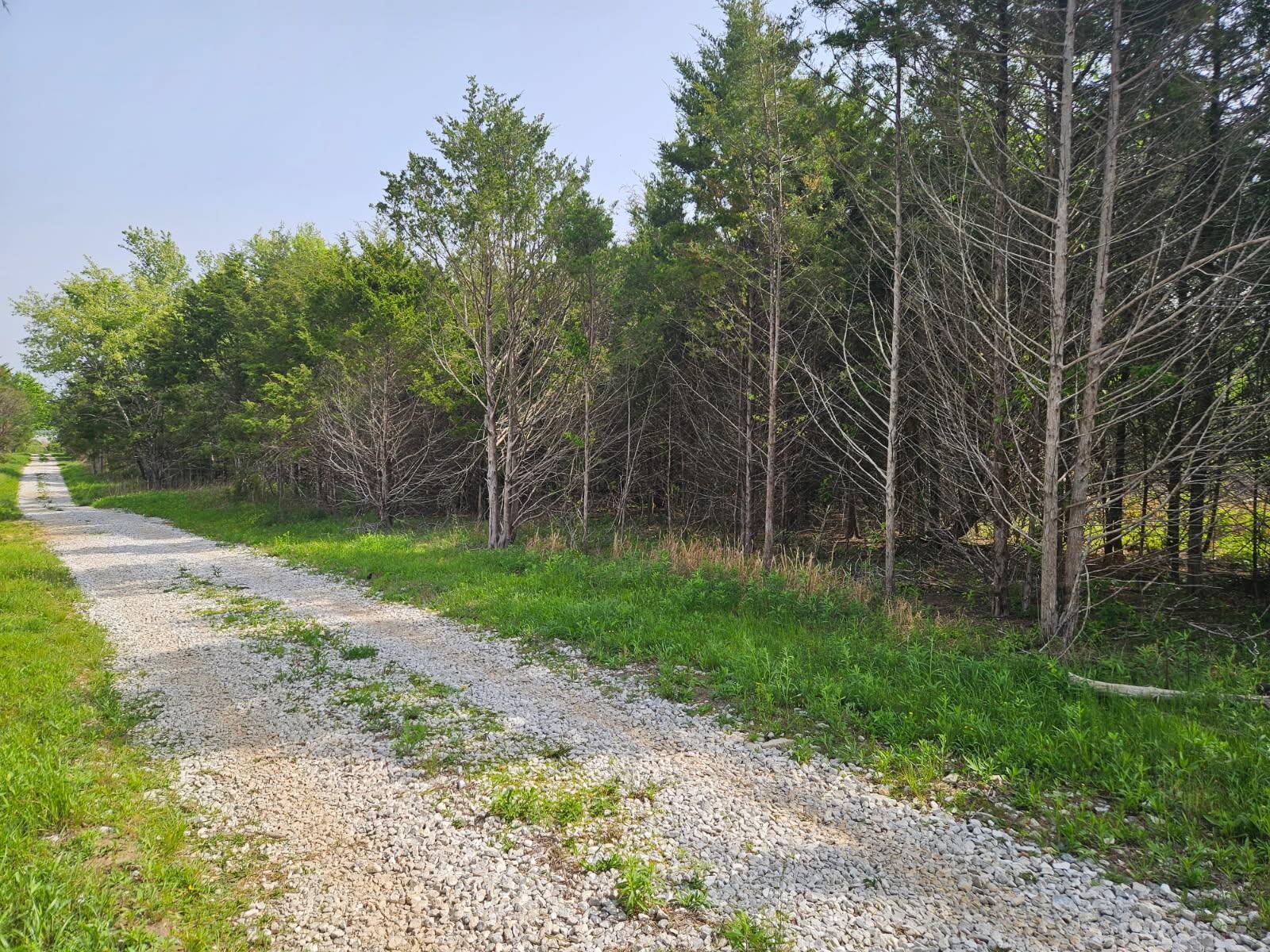 226 Lilac Tract E LN #Tract E, Rogersville, MO 65742