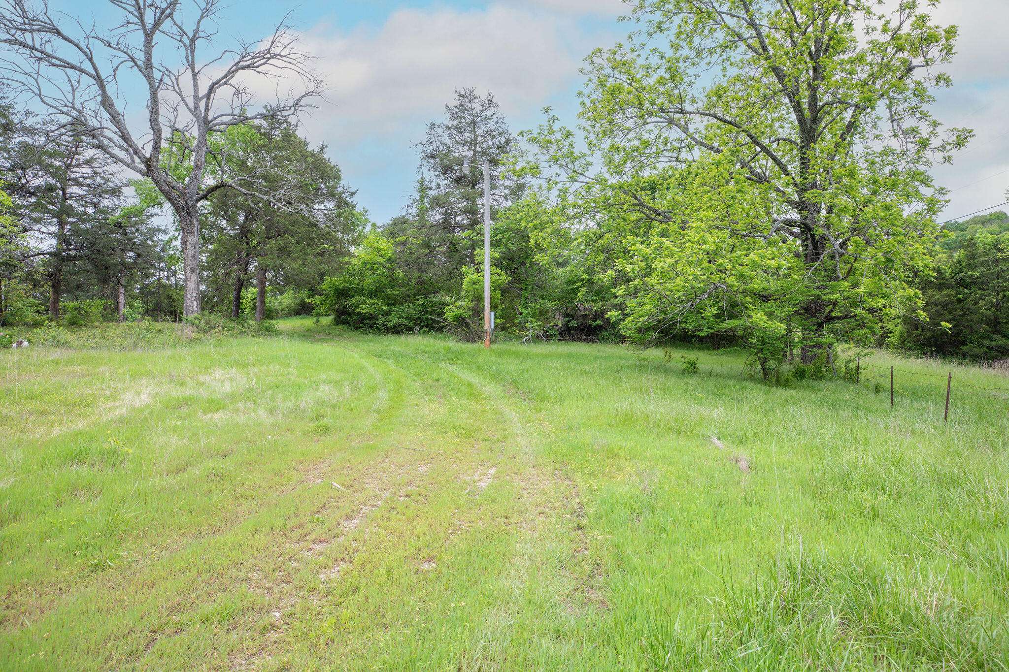 1584 Buchanan RD, Branson, MO 65616