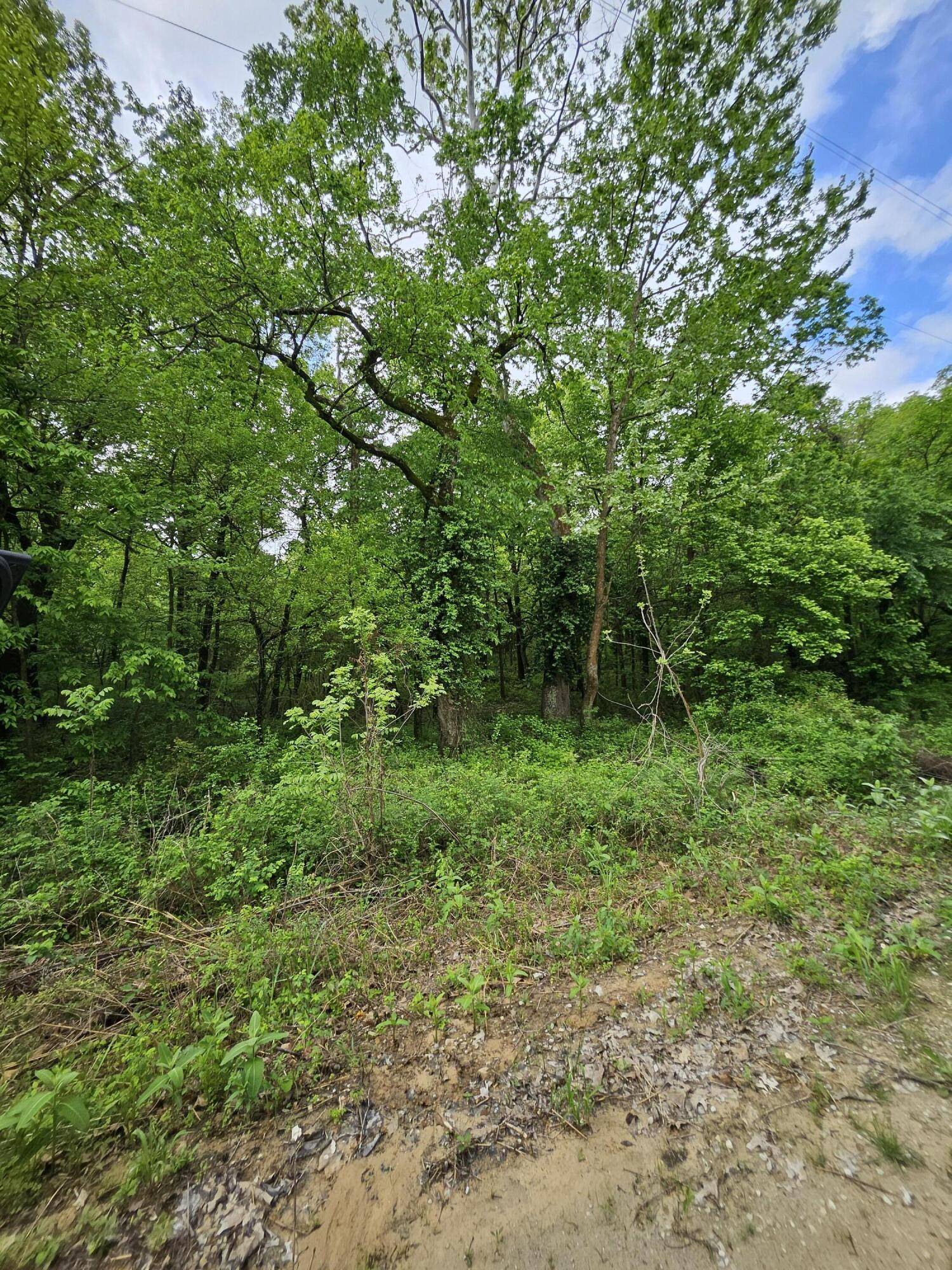 000 W Dade 2, Jerico Springs, MO 64756