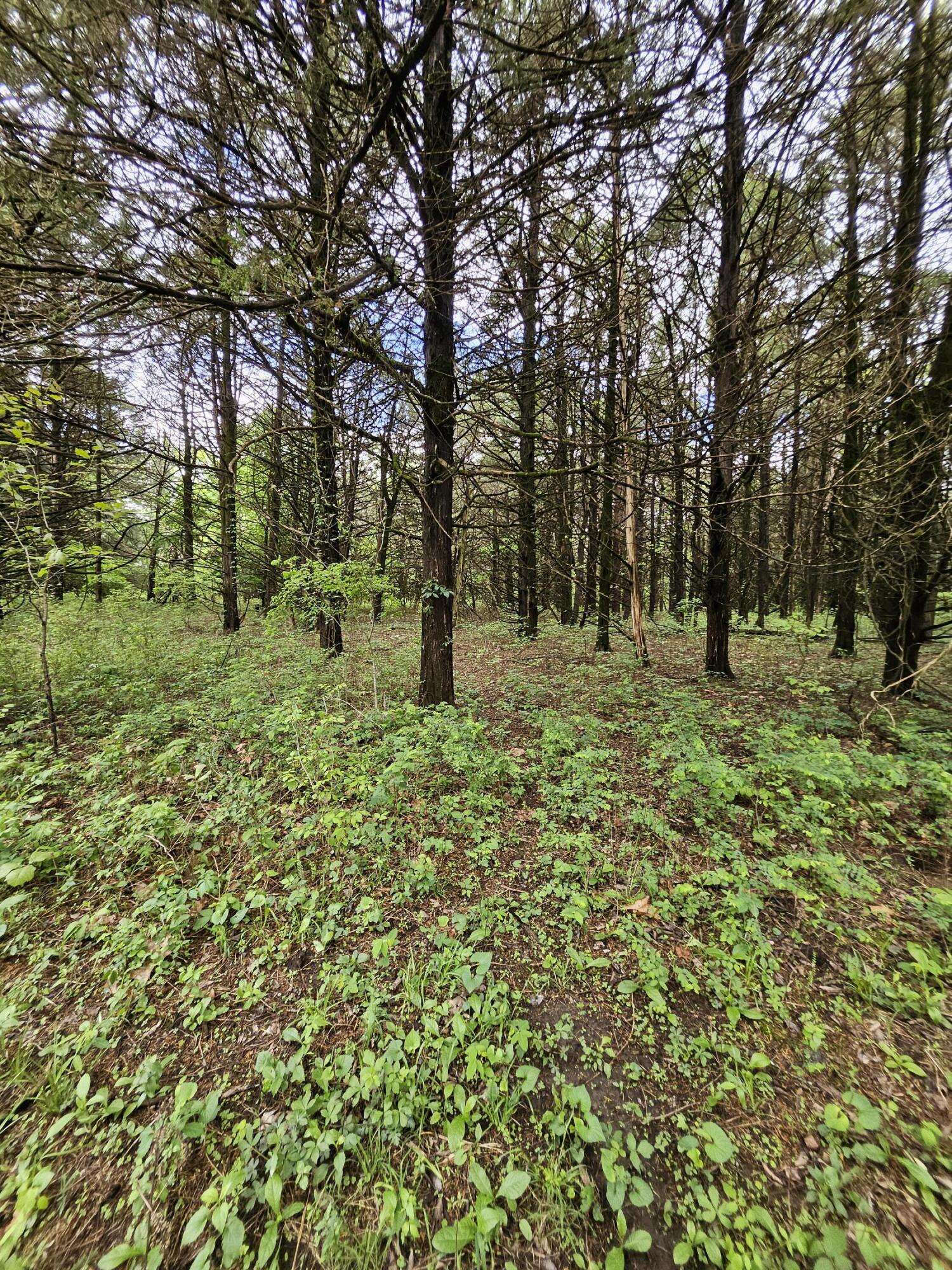 000 W Dade 2, Jerico Springs, MO 64756