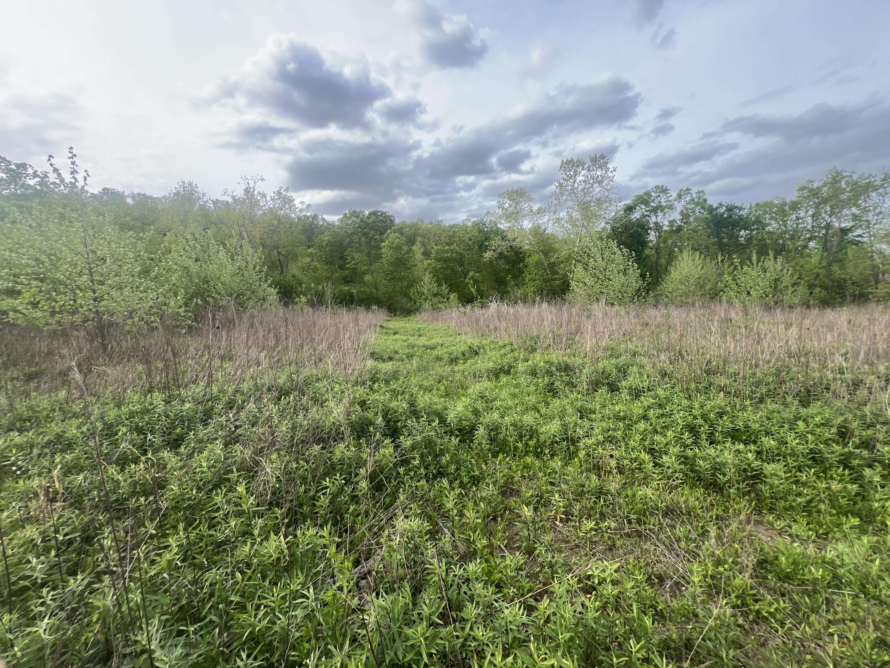 0000 Cedar Gap Central LN, Mansfield, MO 65704