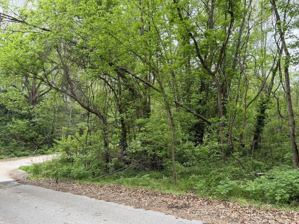 000 Eureka AVE, Seligman, MO 65745