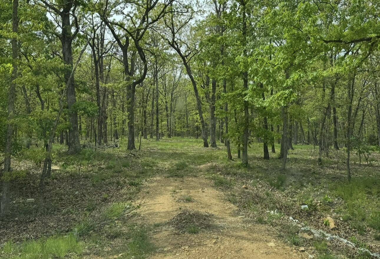 Lot 2 The Ridges, Austin DR, Joplin, MO 64804