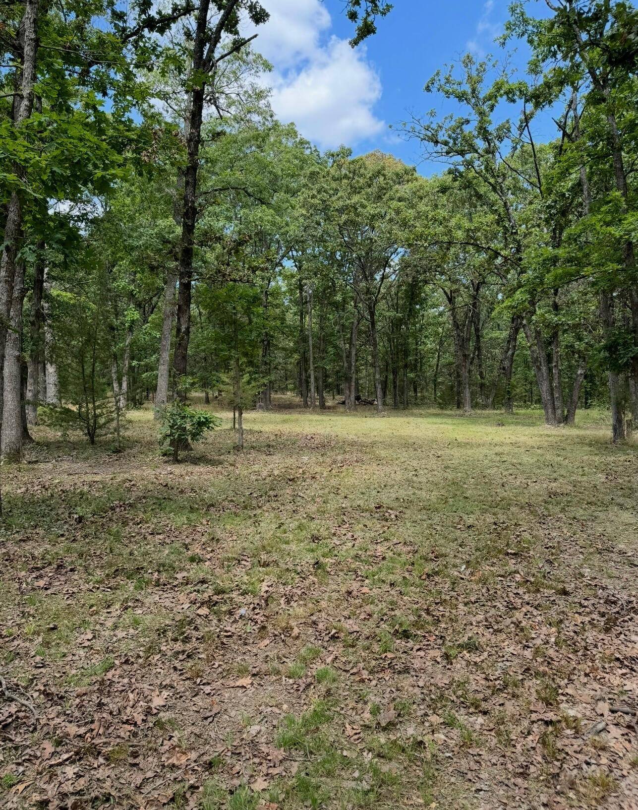 Lot 2 The Ridges, Austin DR, Joplin, MO 64804