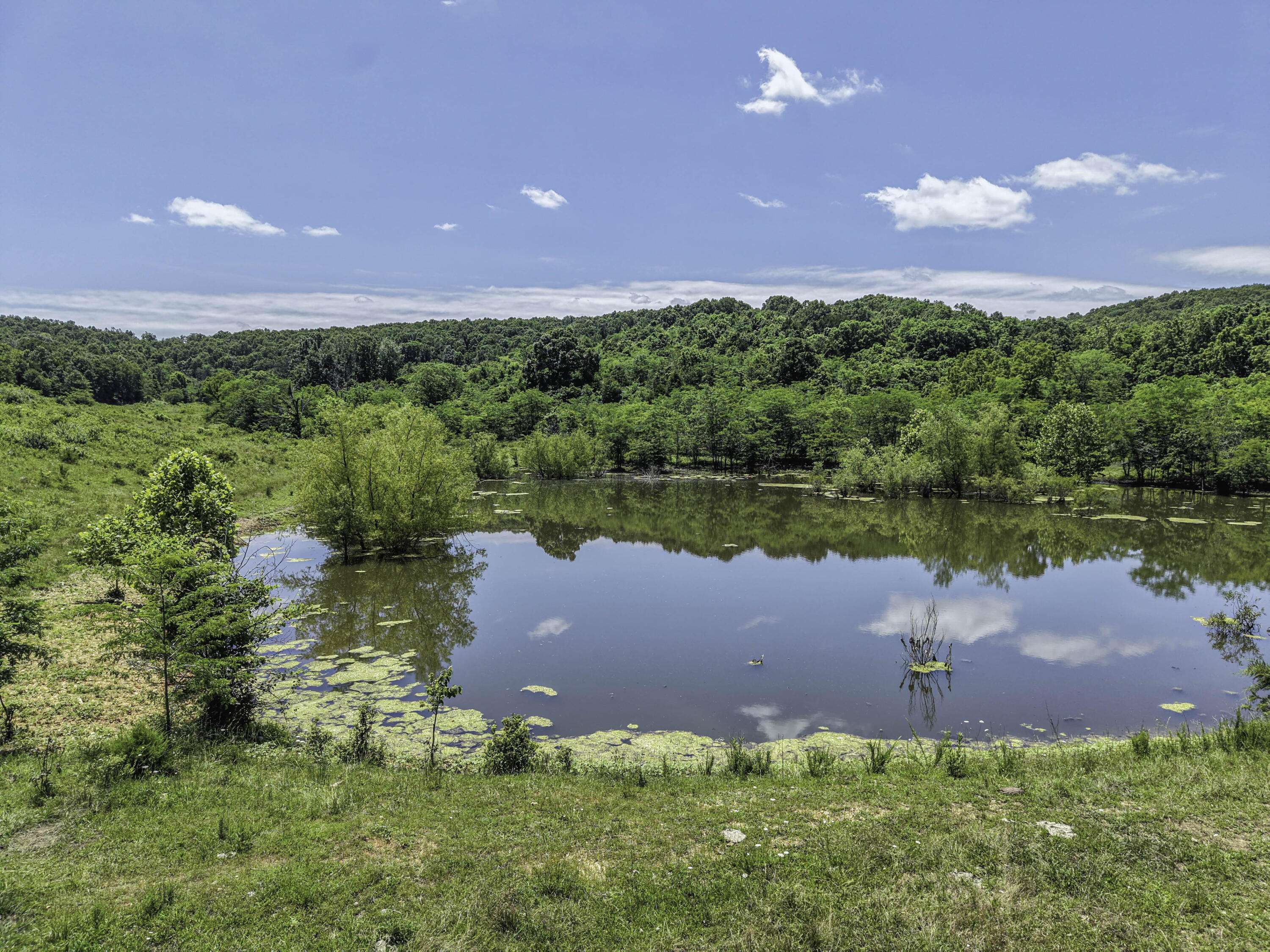 23605 County Road U-112, Norwood, MO 65717
