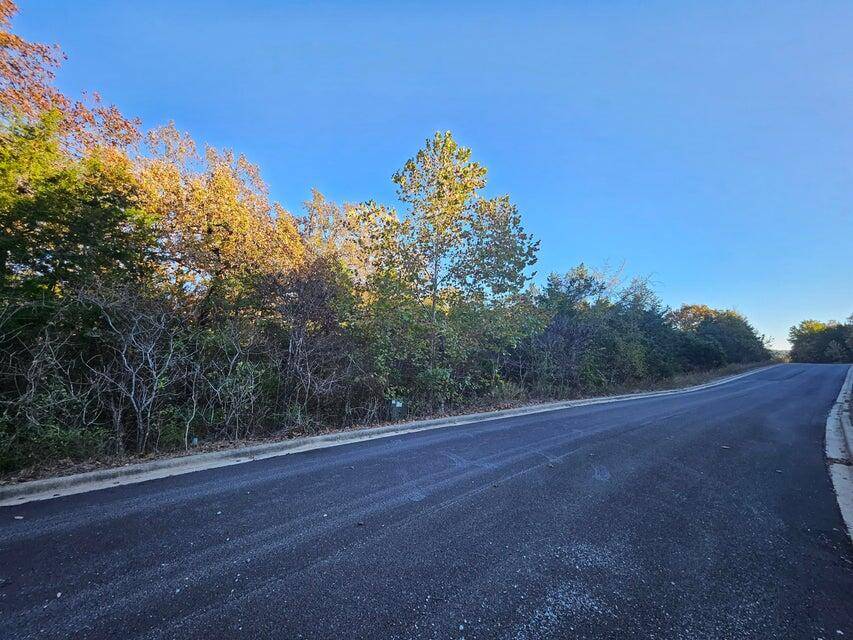 445 Bay View DR, Hollister, MO 65672