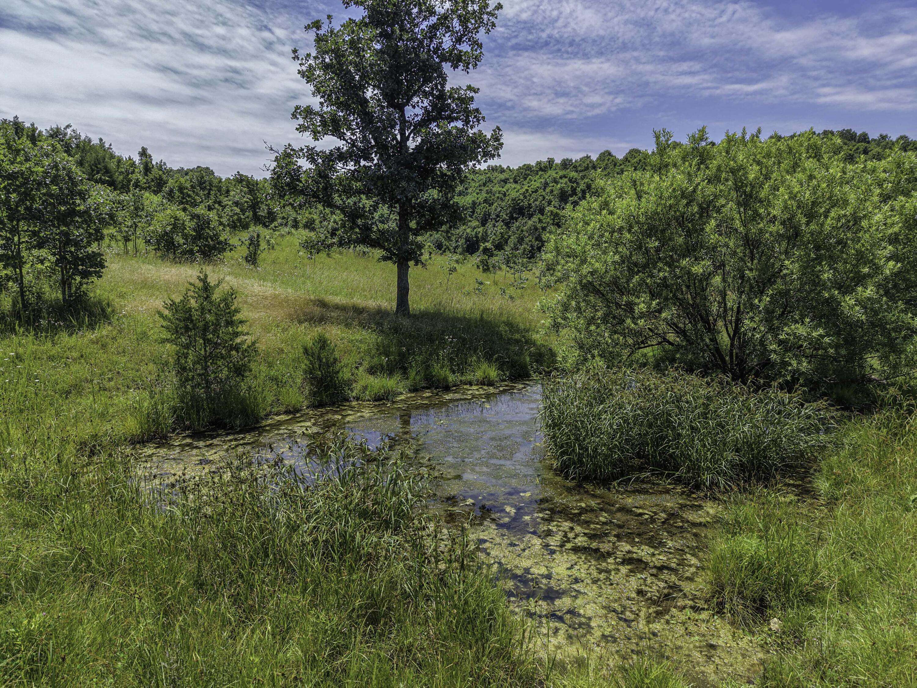 000 County Road 123, Norwood, MO 65717