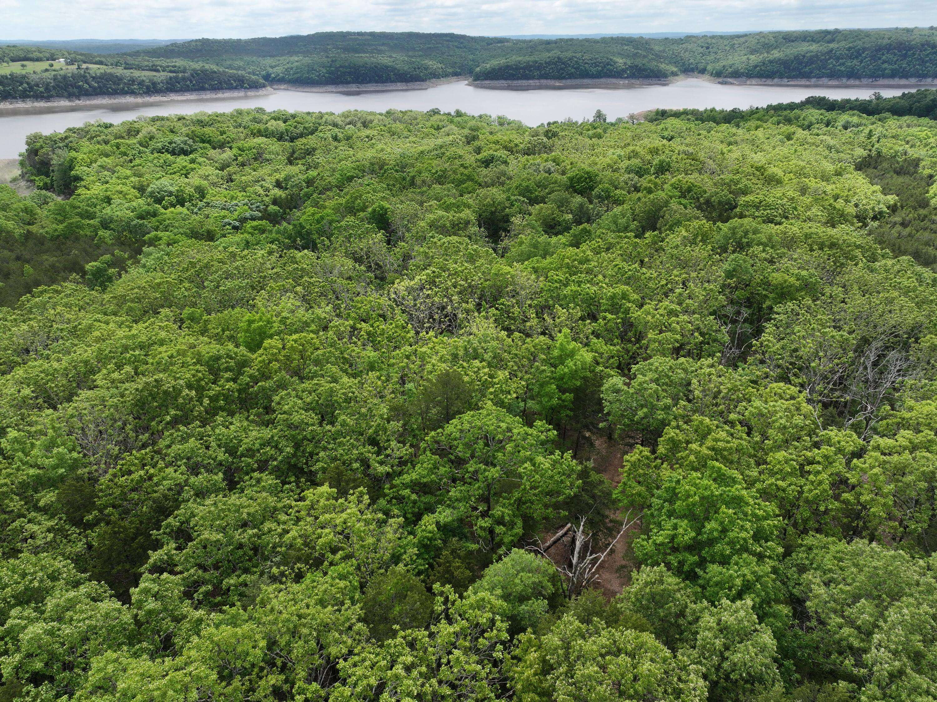 Lot 40&41 Timber Shoals Road, Cedar Creek, MO 65627