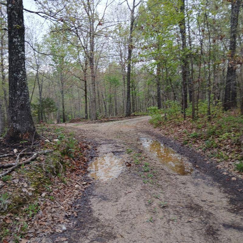 6512 County Road 3850, Peace Valley, MO 65788
