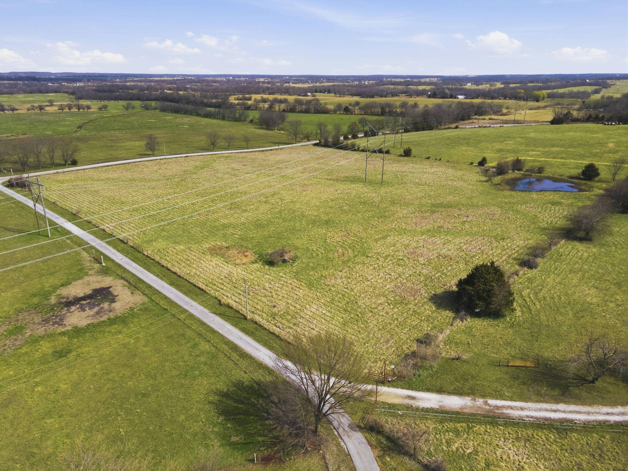 000 S Pond Willow LN, Republic, MO 65738