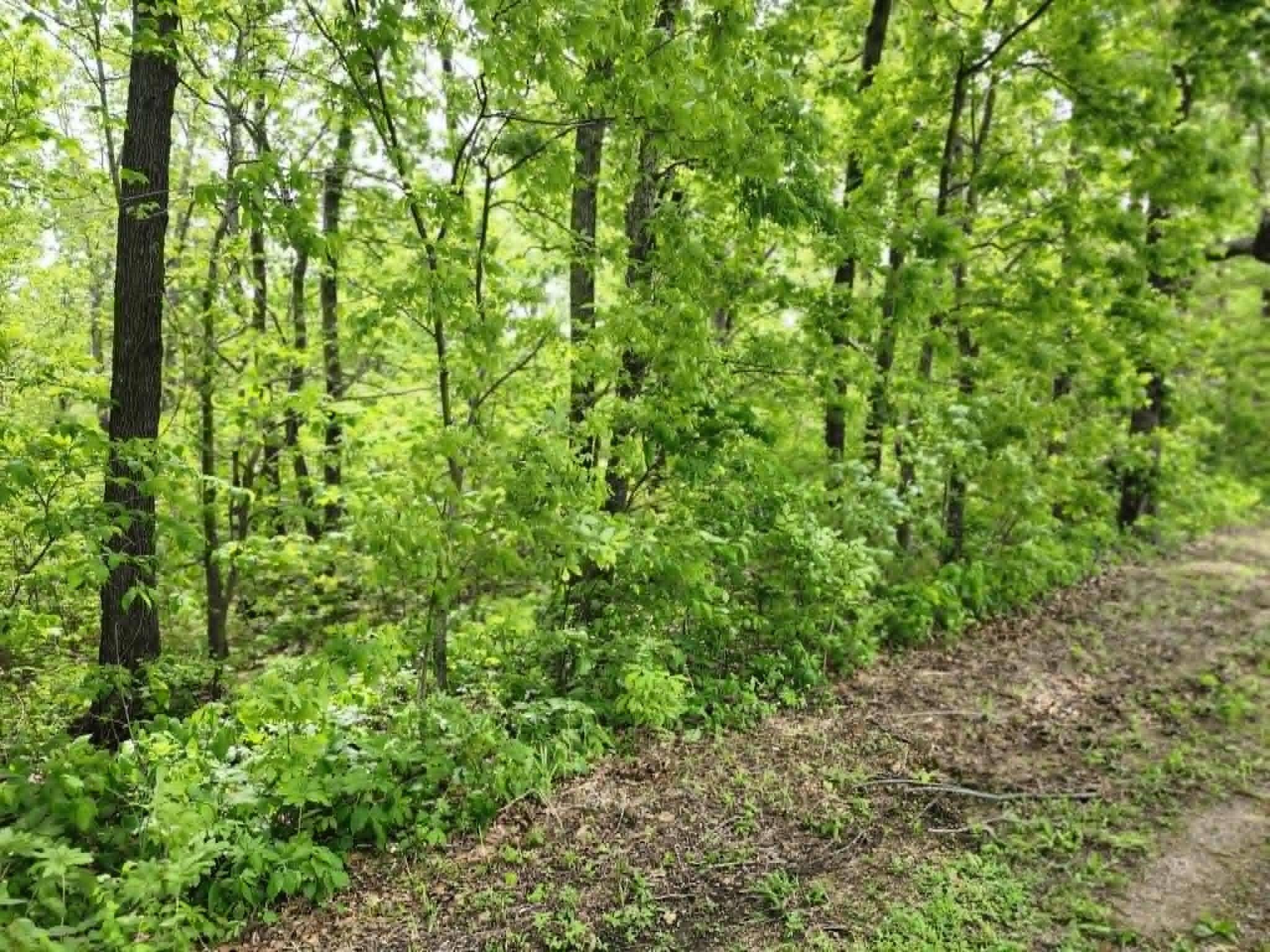 00 Thomas RD, Norwood, MO 65717