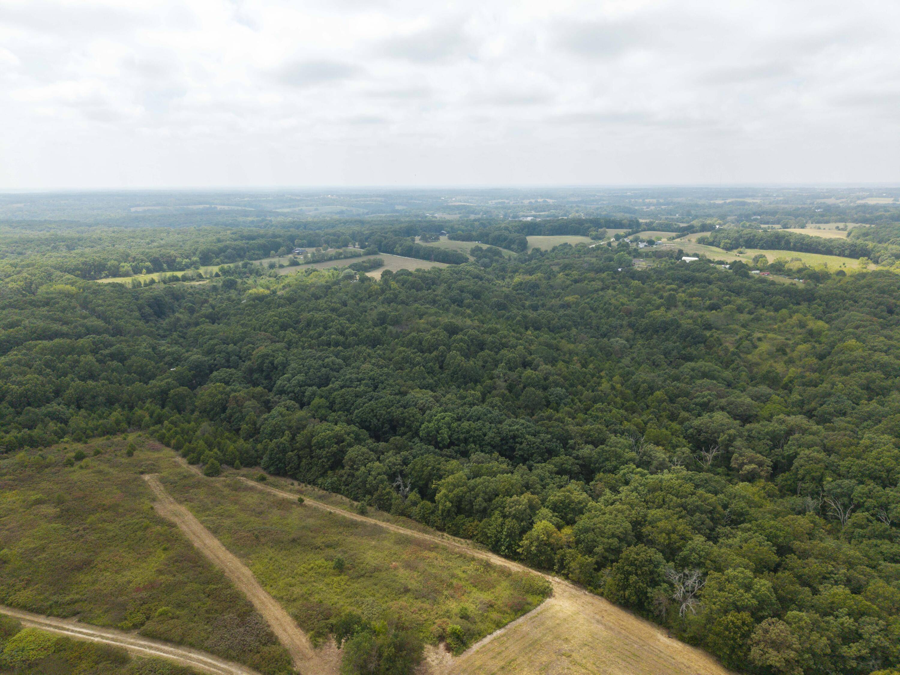 000 Richwood School House RD, Clever, MO 65631