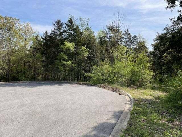 0 Daless CT, Hollister, MO 65672