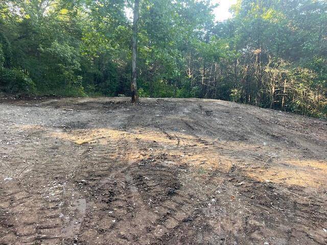 0 Daless CT, Hollister, MO 65672