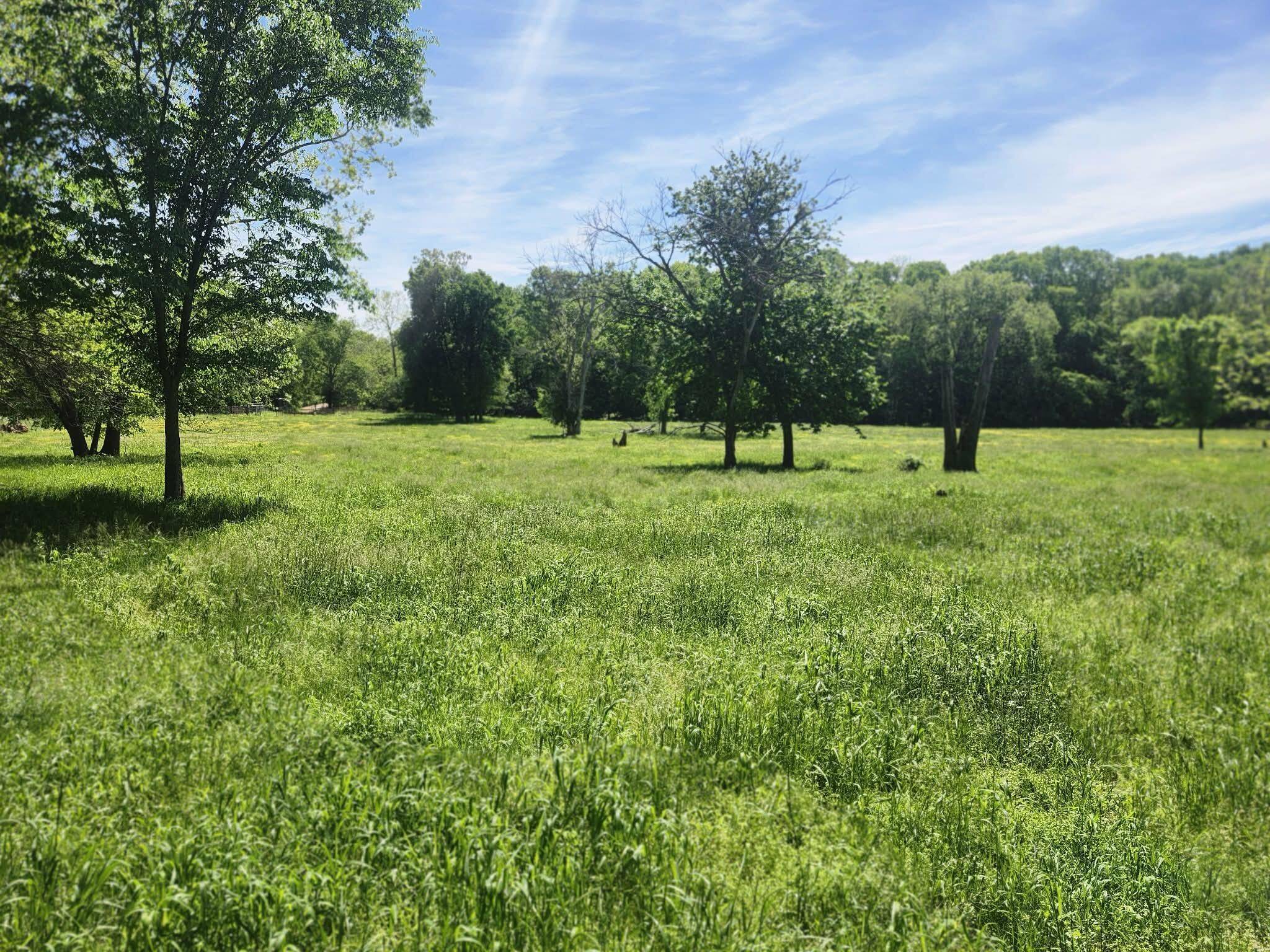 Tbd High DR, Hartville, MO 65667