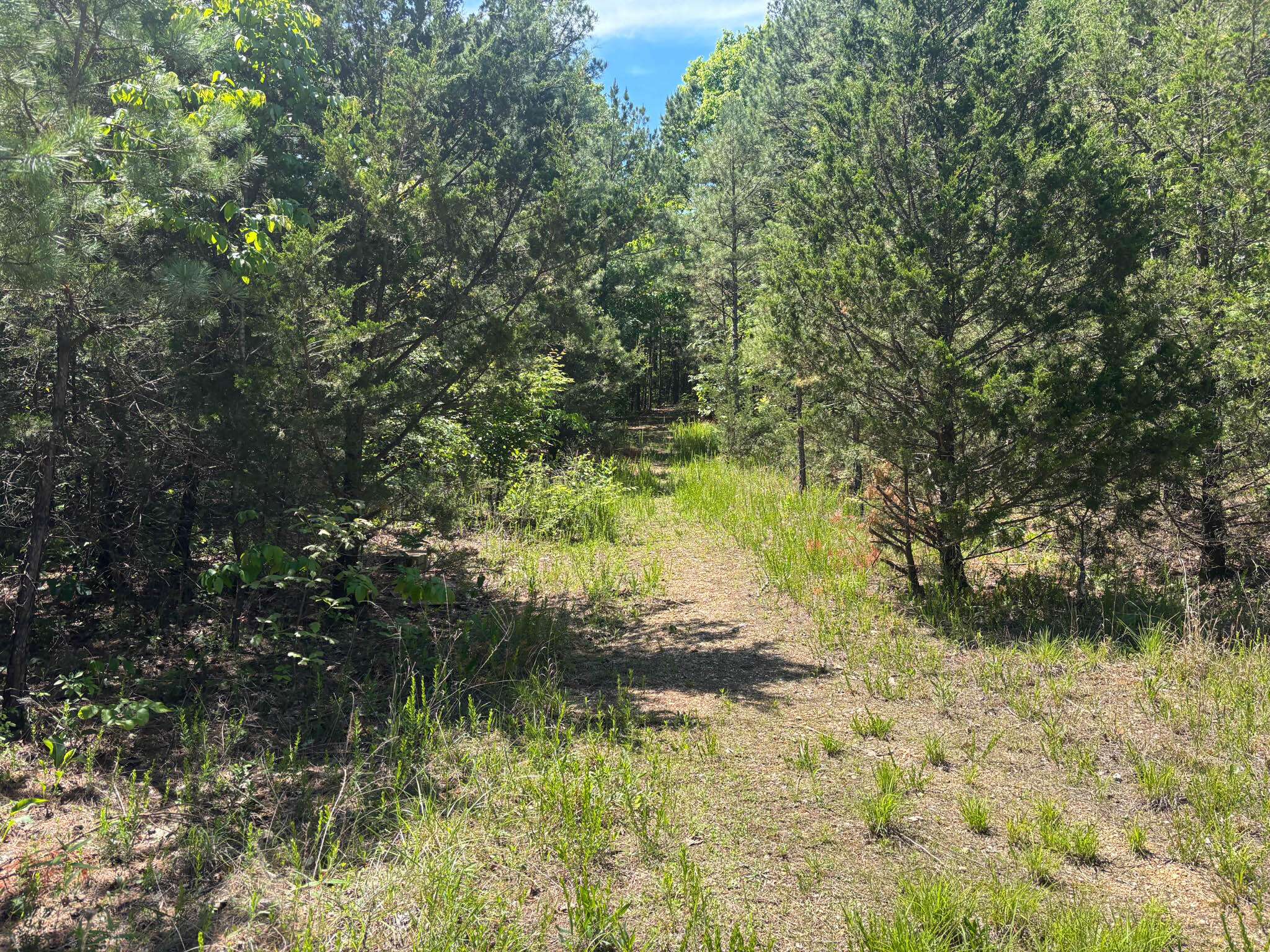 Tbd County Road 154, Brixey, MO 65618