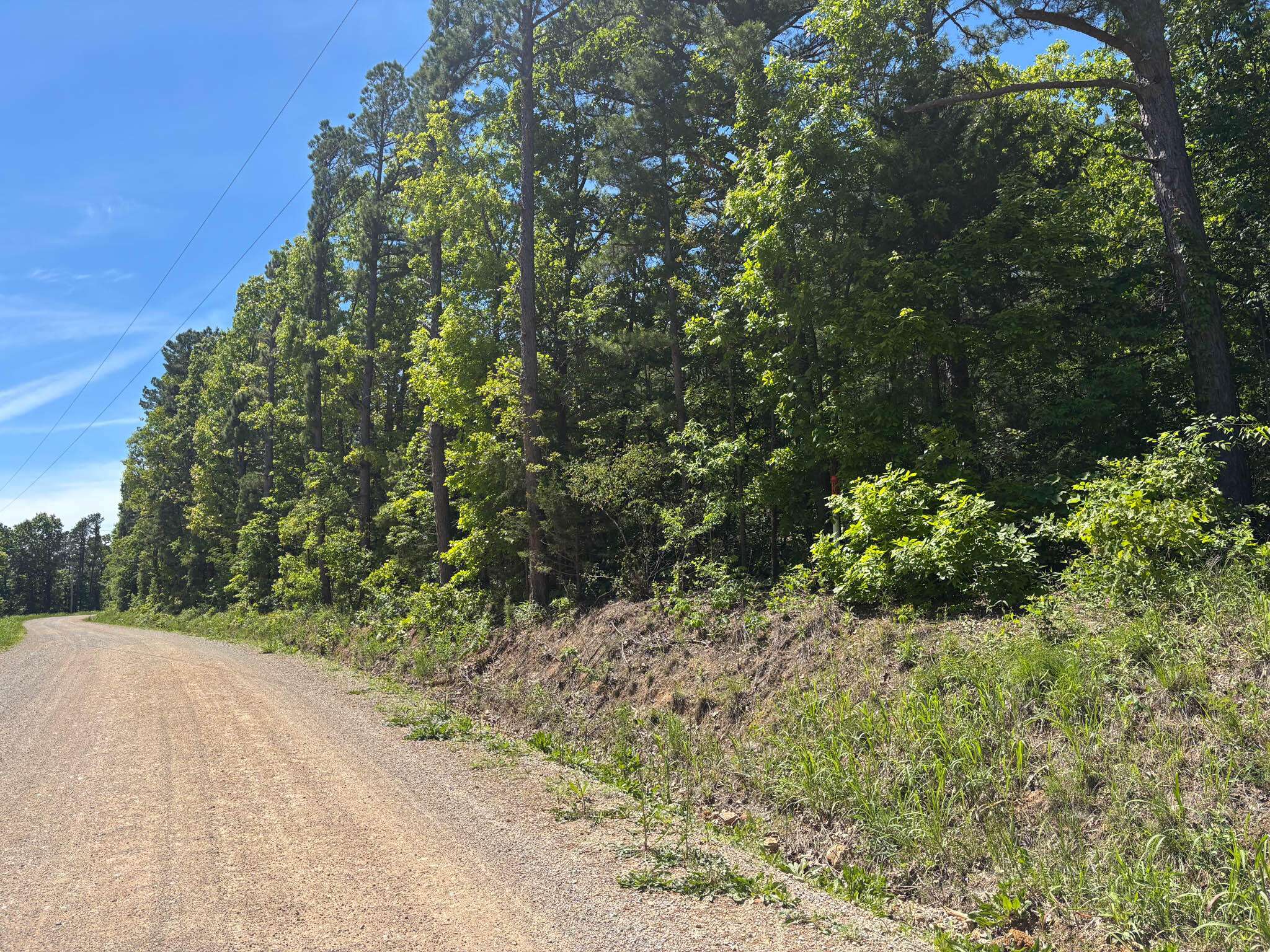 Tbd County Road 154, Brixey, MO 65618