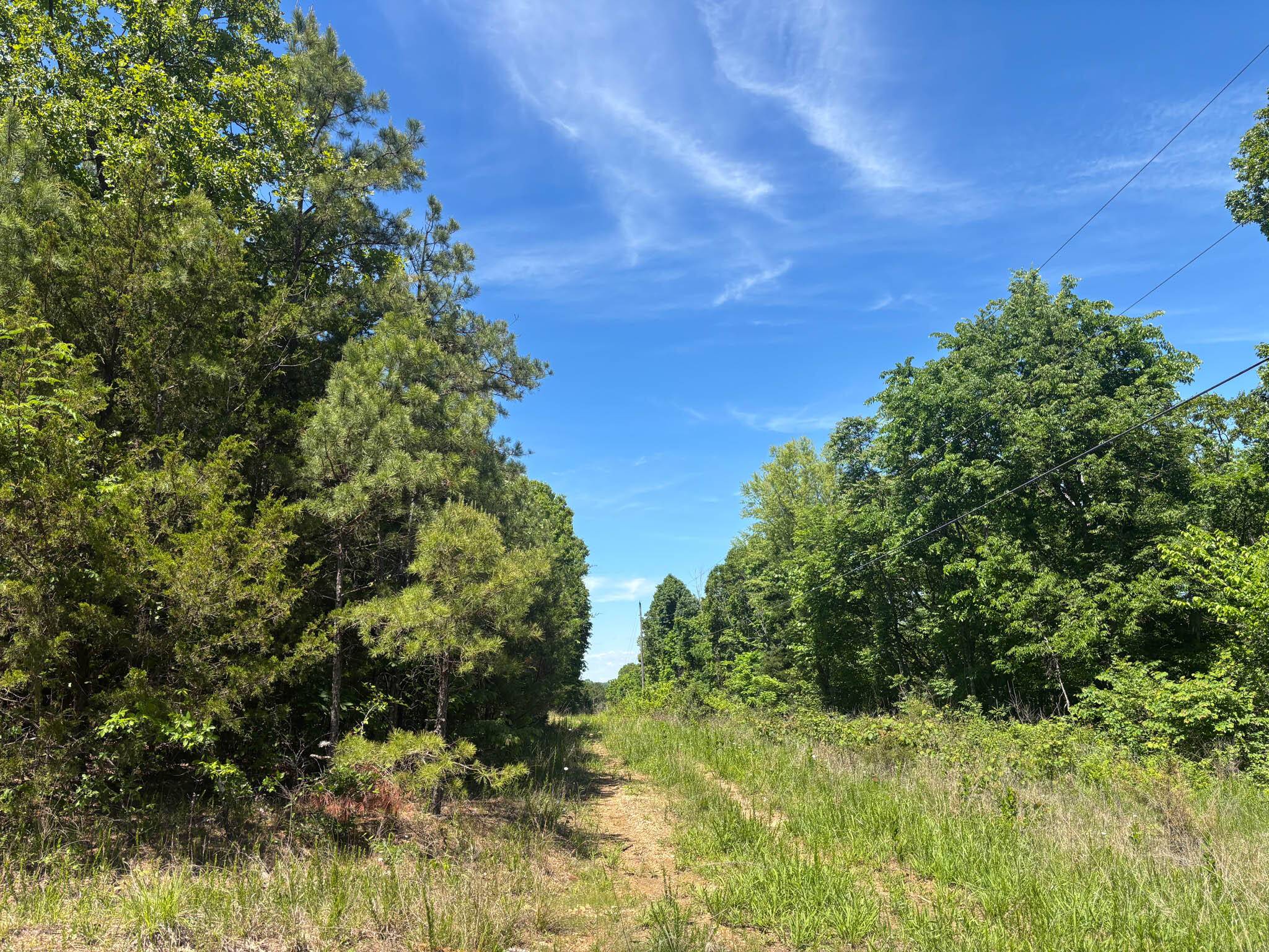 Tbd County Road 154, Brixey, MO 65618