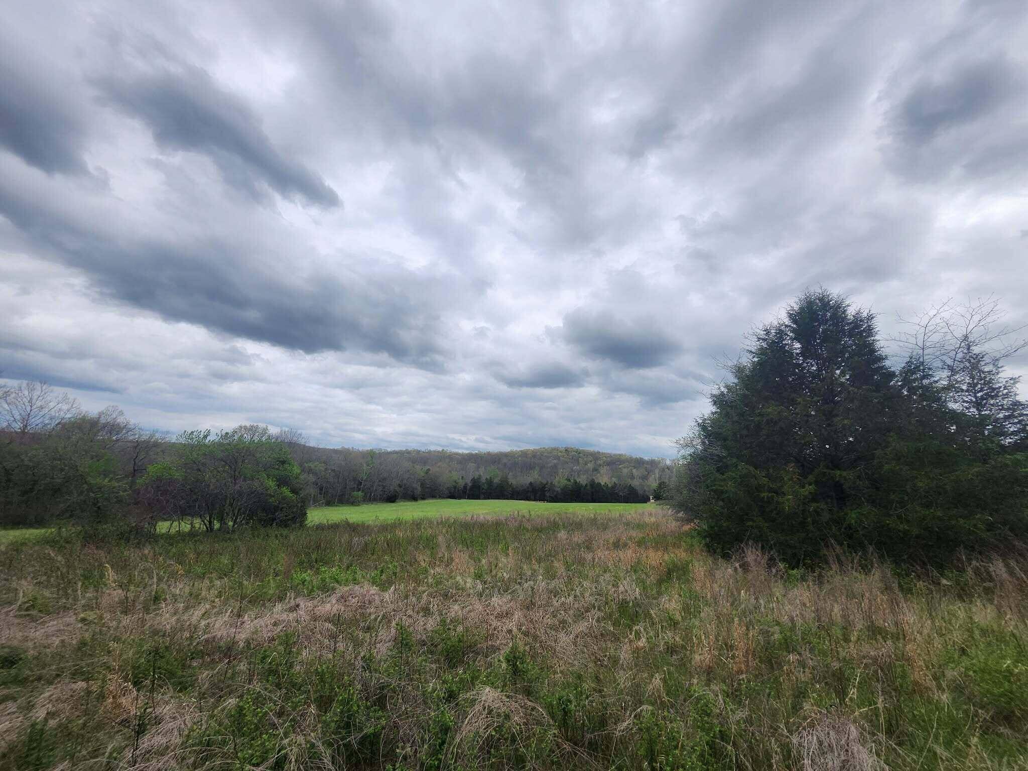 0 County Road 14-252, Drury, MO 65638