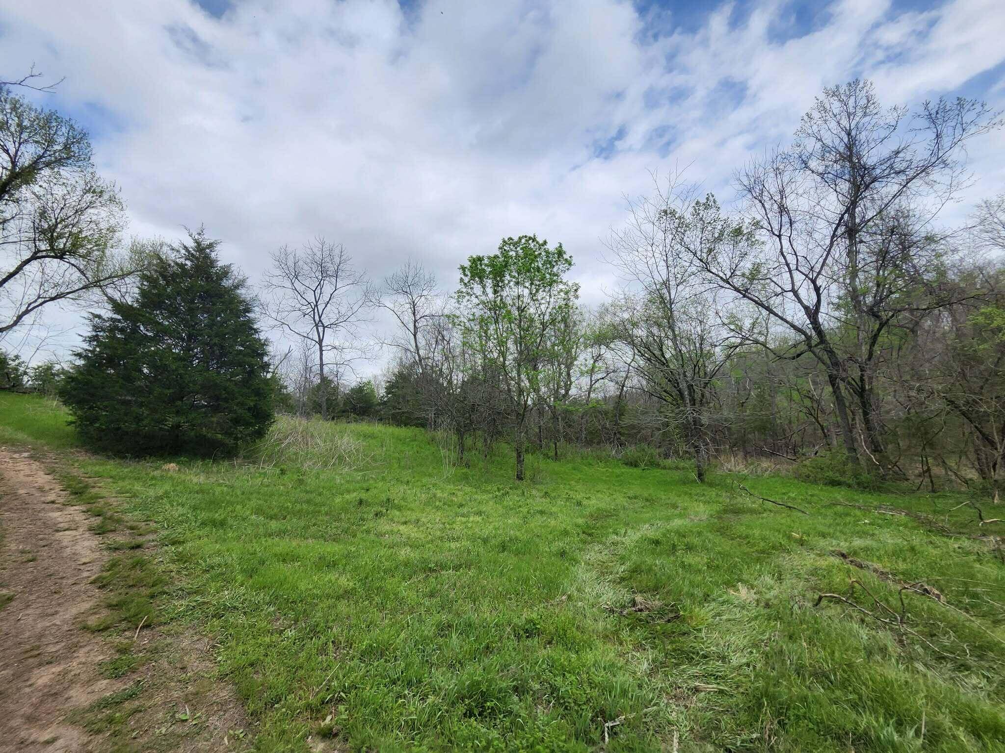 0 County Road 250-80, Drury, MO 65638