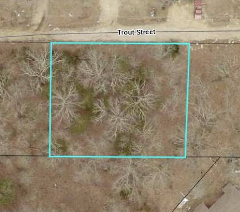 140 Trout ST, Kissee Mills, MO 65680