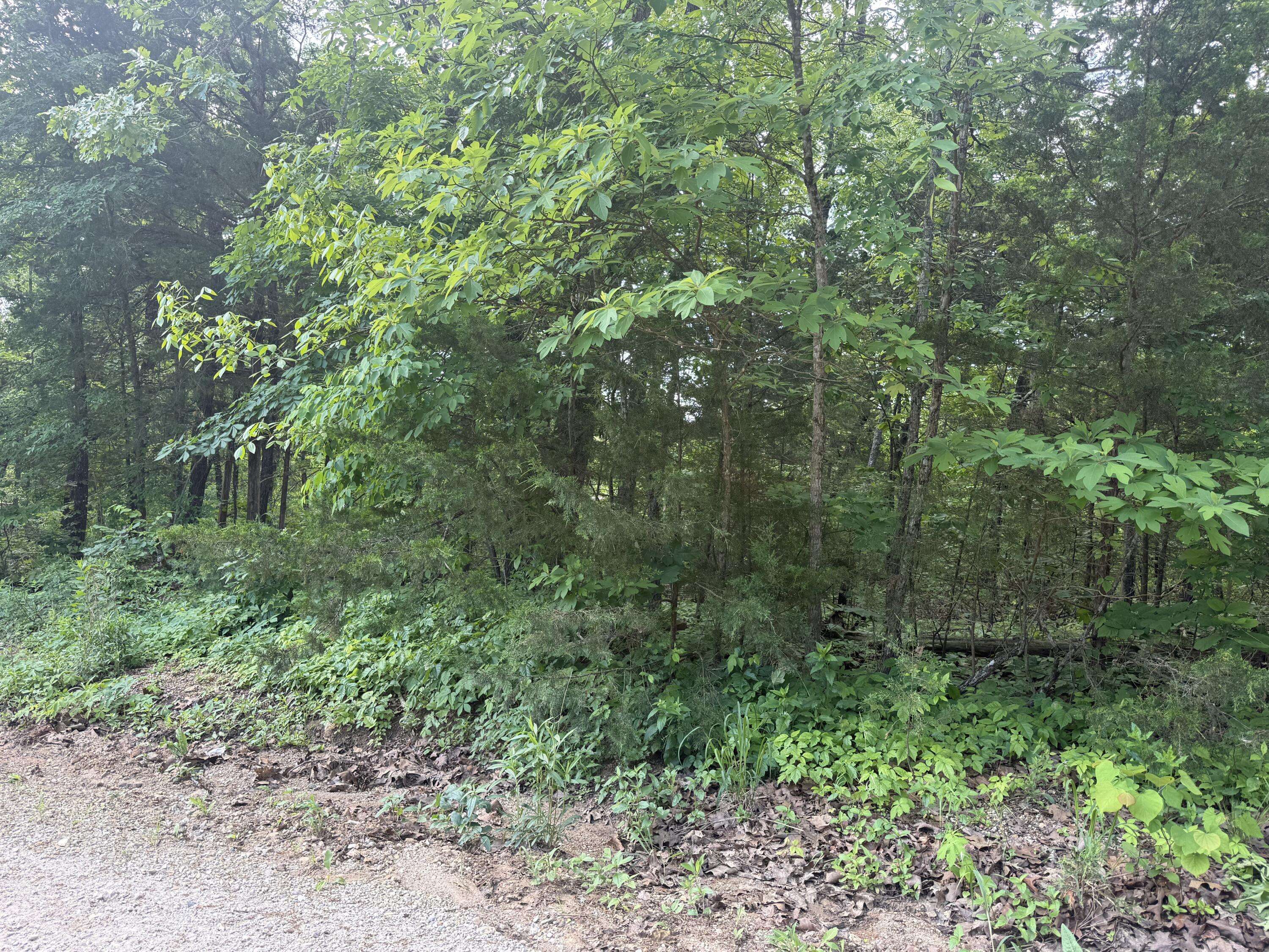140 Trout ST, Kissee Mills, MO 65680