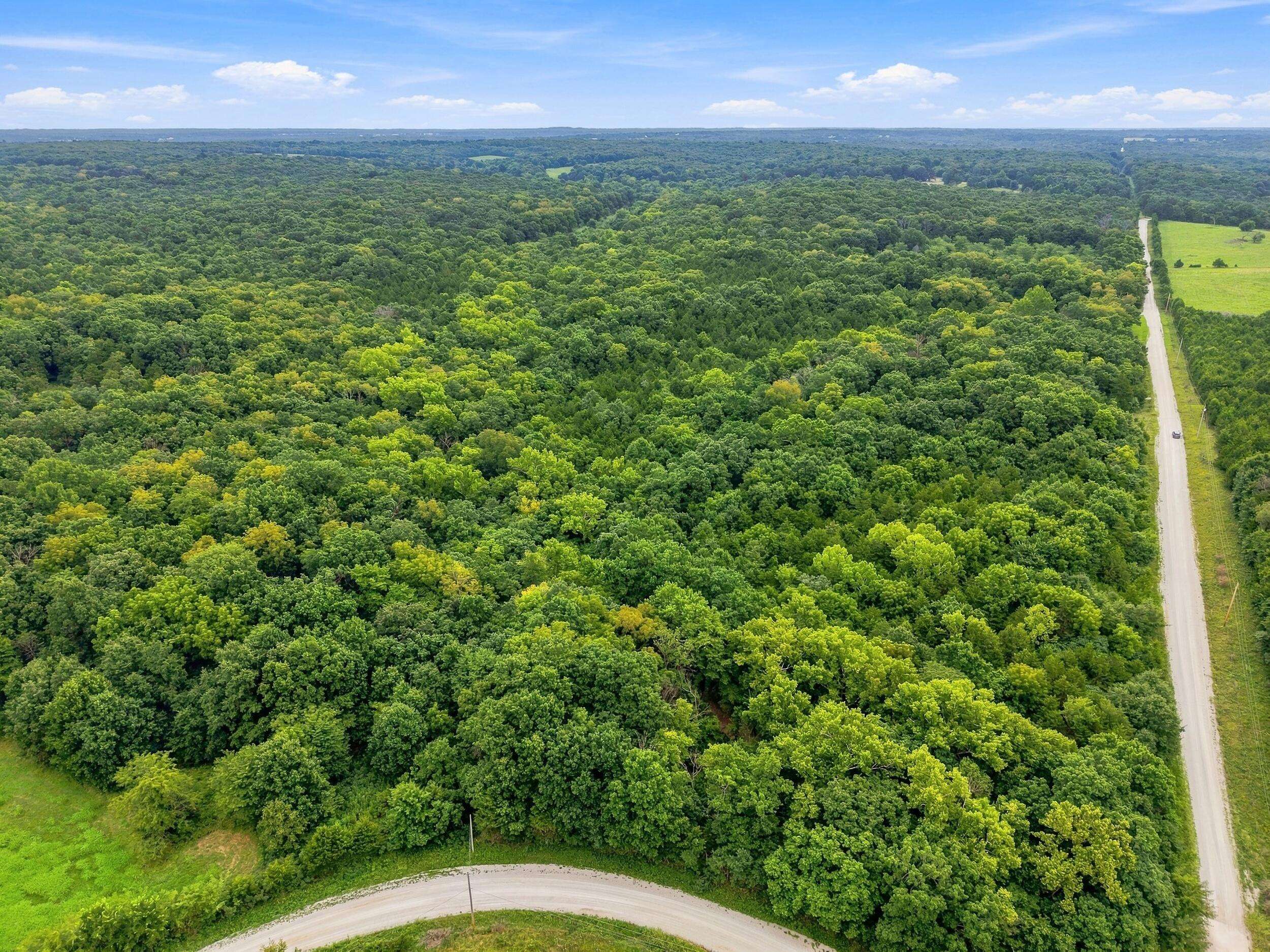 3478 S 216th RD, Goodson, MO 65663