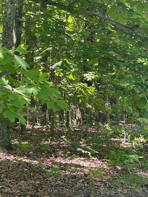 L42a & 43a Eaglecrest RD, Cape Fair, MO 65624
