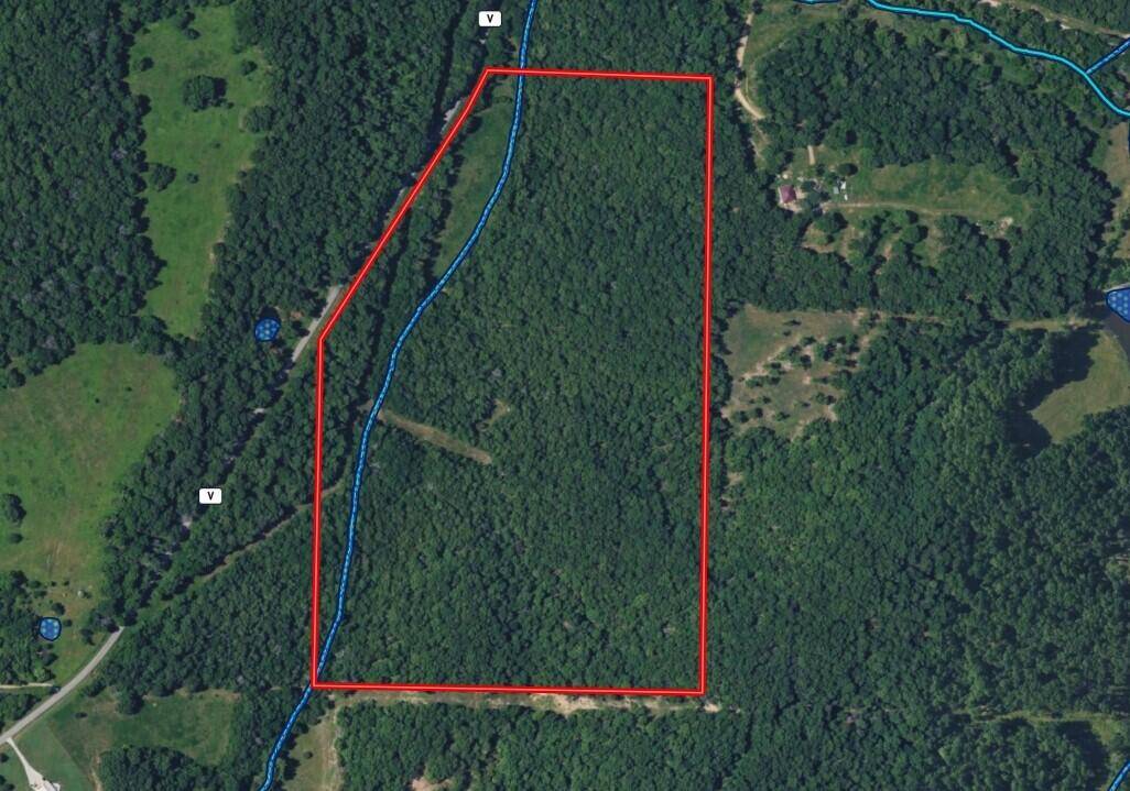 000 State Route V, Bakersfield, MO 65609