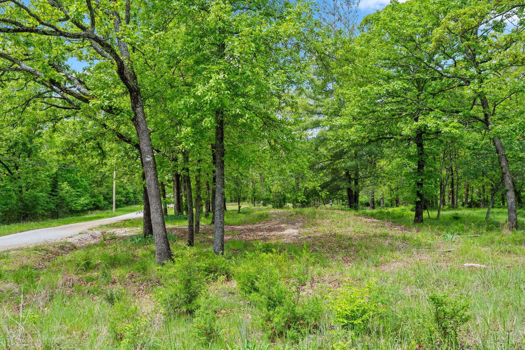 42 White Eagle LN, Reeds Spring, MO 65737