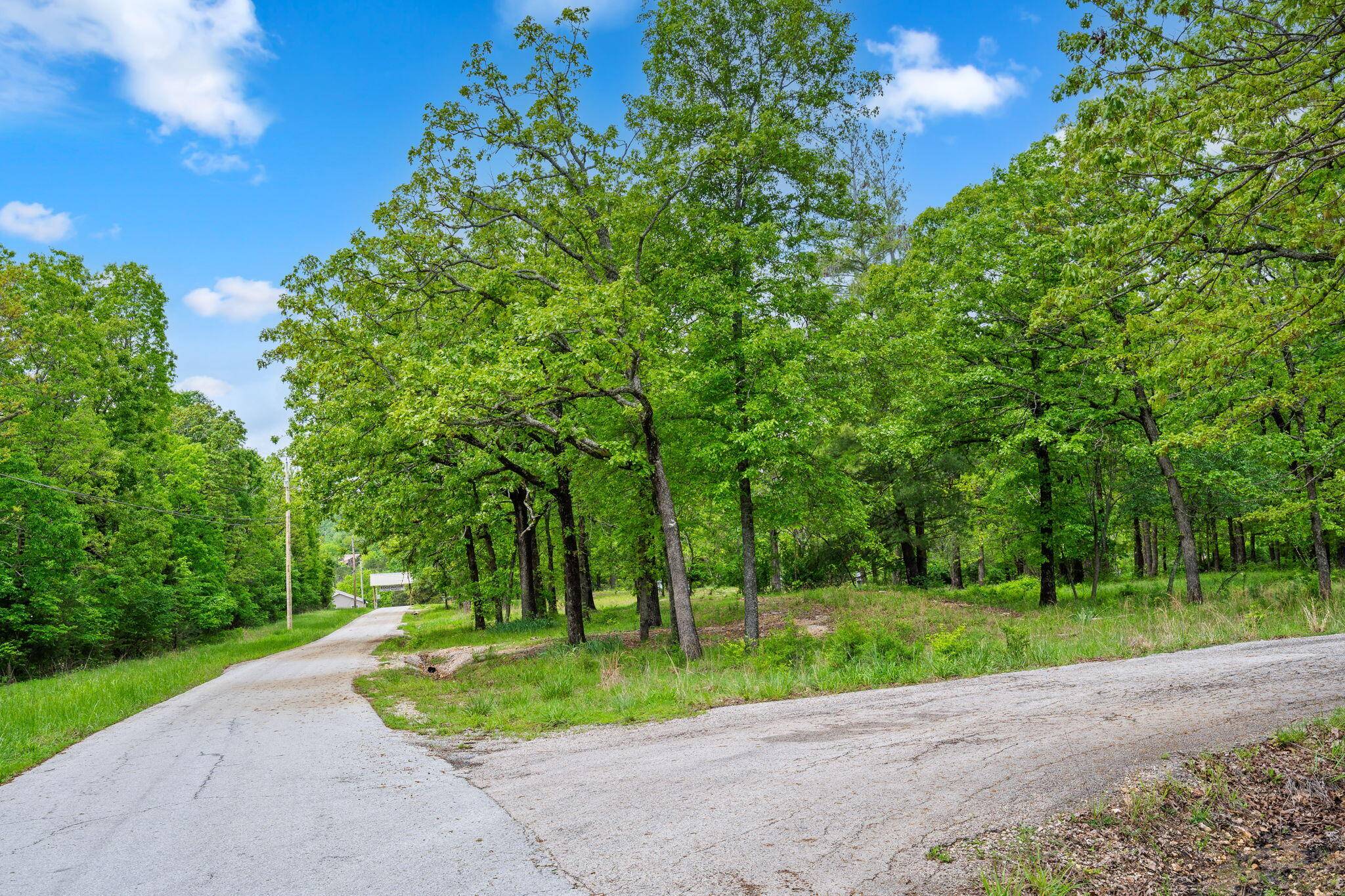 42 White Eagle LN, Reeds Spring, MO 65737