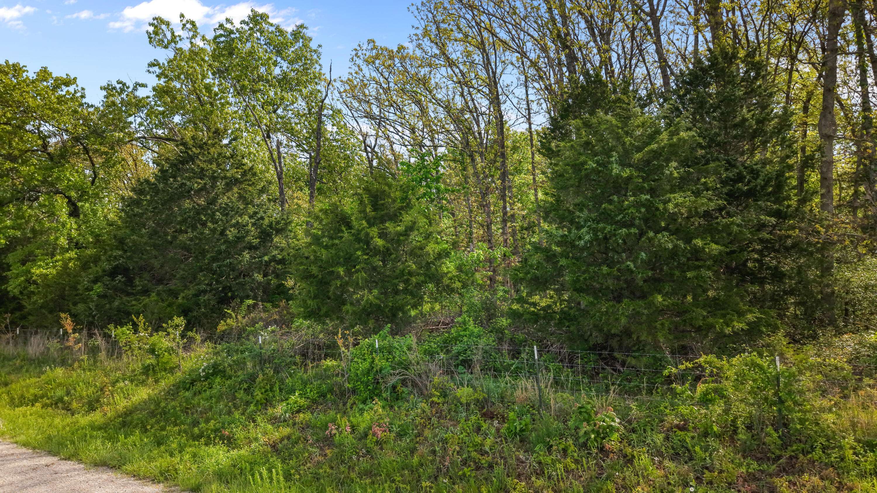 000 Country Trails RD, Conway, MO 65632