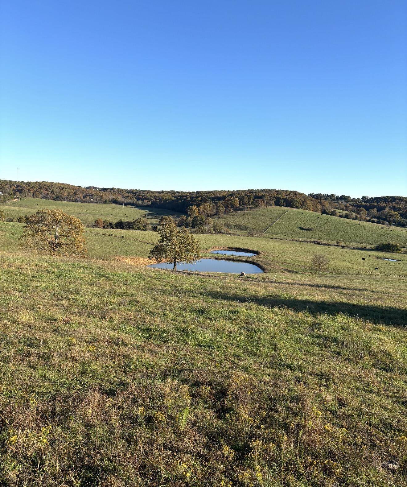 Hc 73 County Road 245, Drury, MO 65638