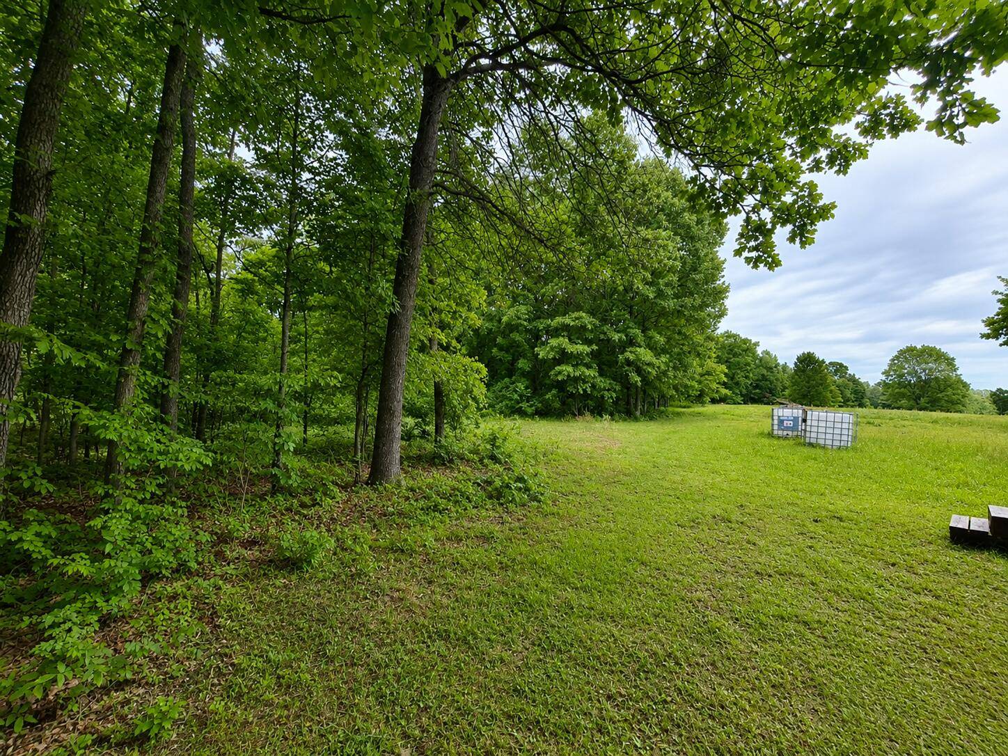 113 Wanda Drive, Squires, MO 65755