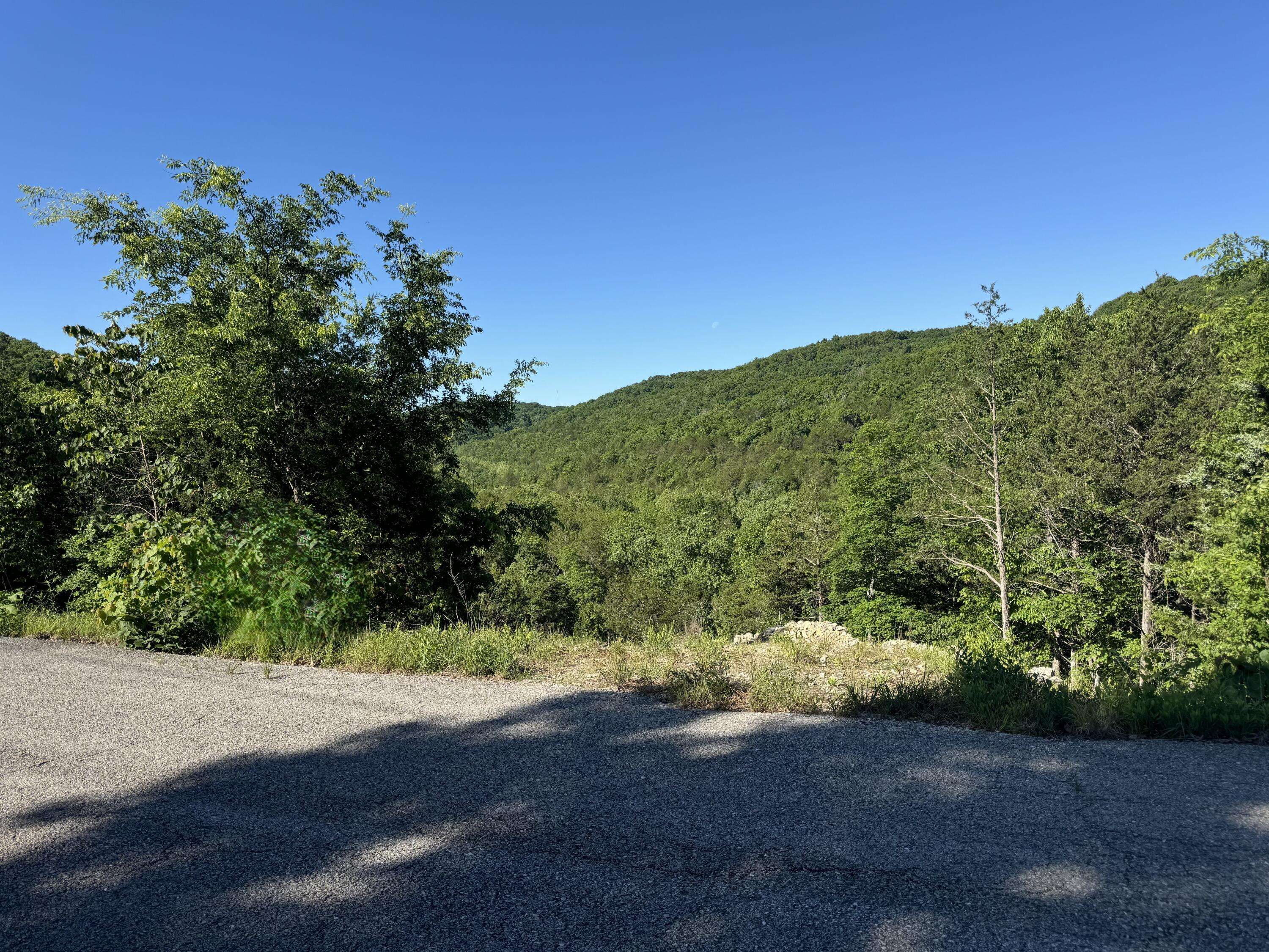 360 Timber Wolf RD #Lot 1, Hollister, MO 65672
