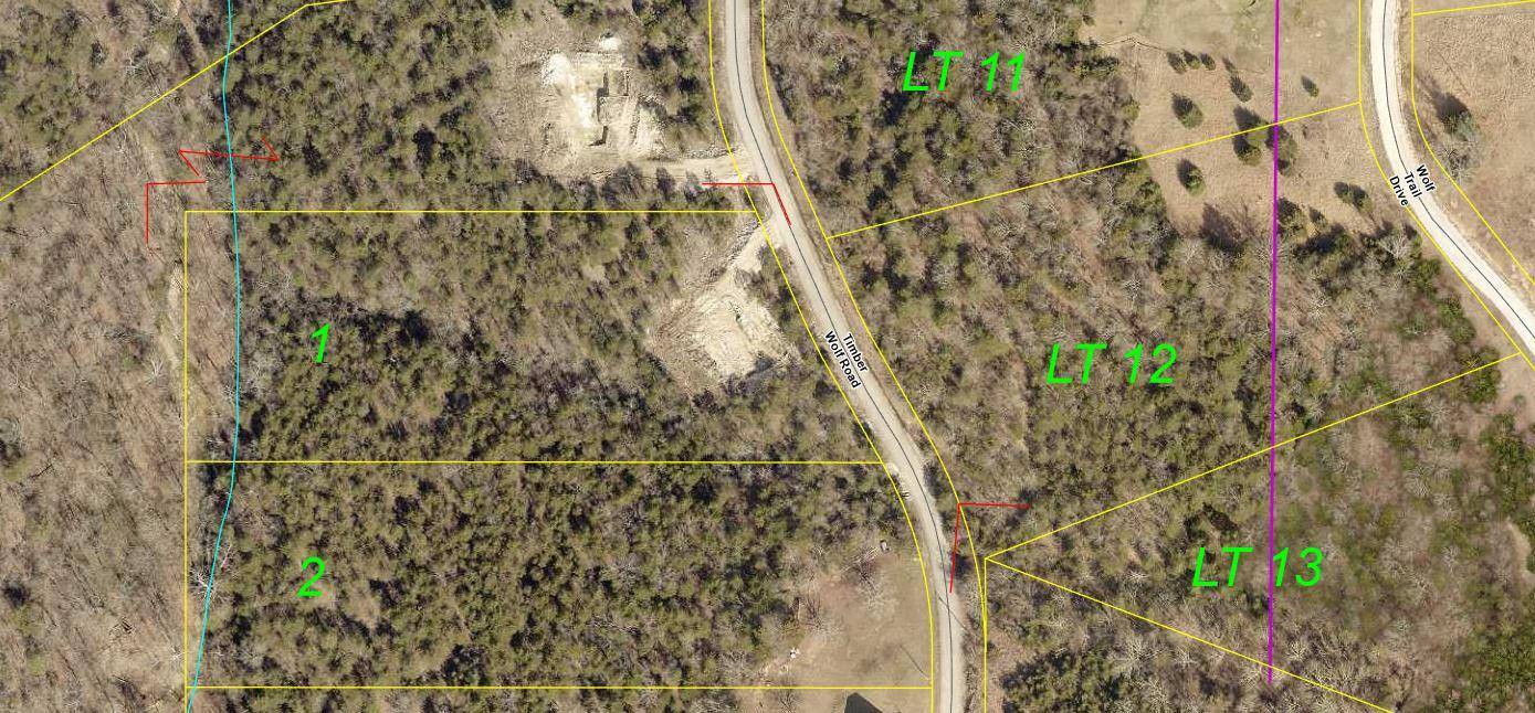 360 Timber Wolf RD #Lot 1, Hollister, MO 65672