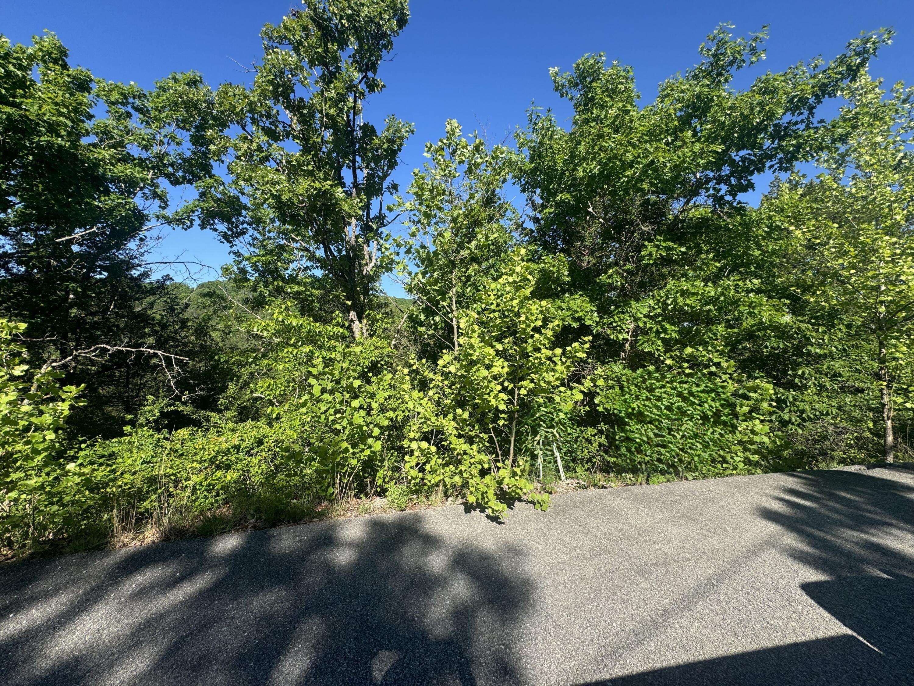360 Timber Wolf RD #Lot 1, Hollister, MO 65672