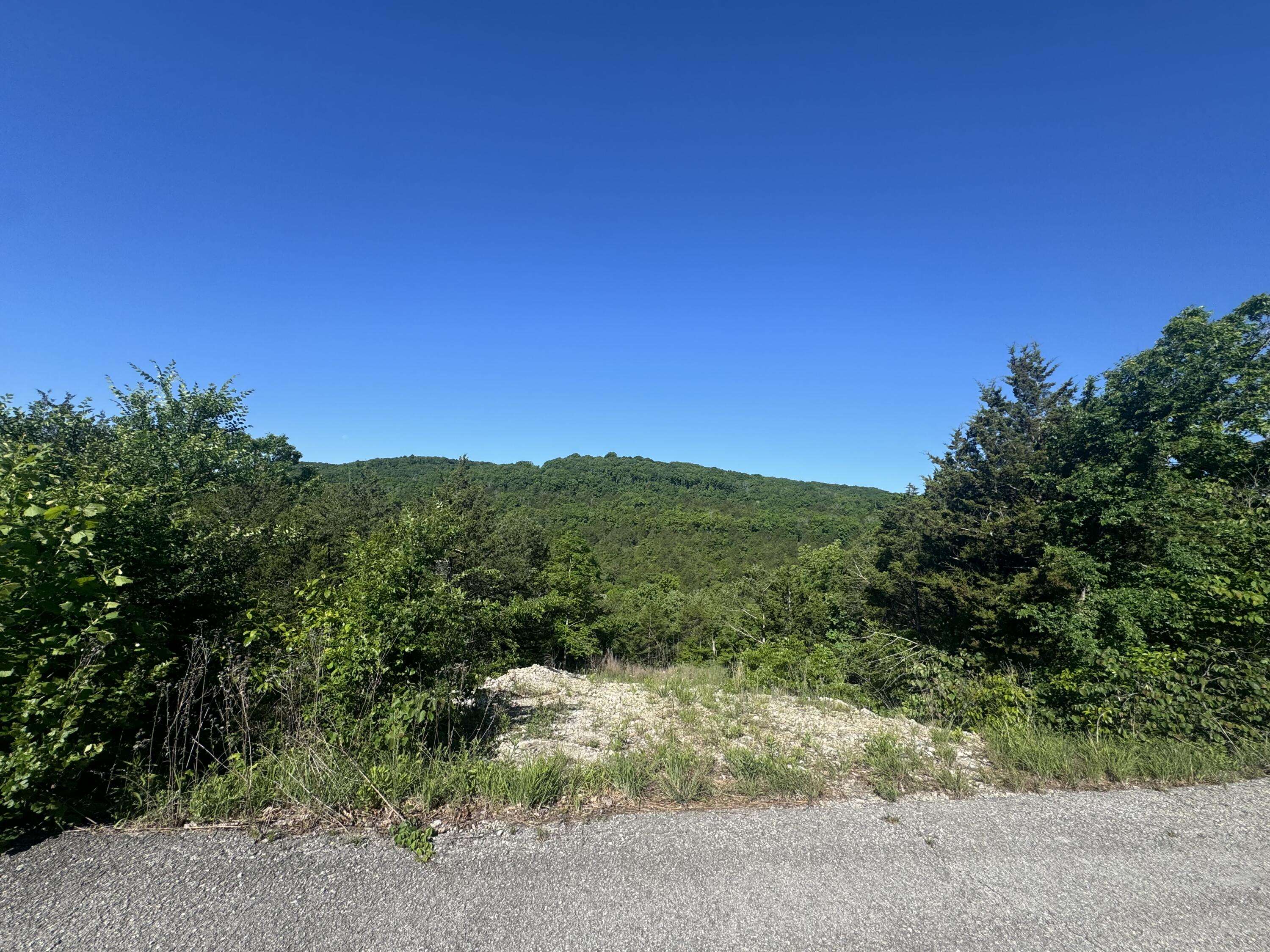236 Timber Wolf Rd #Lot 9, Hollister, MO 65672