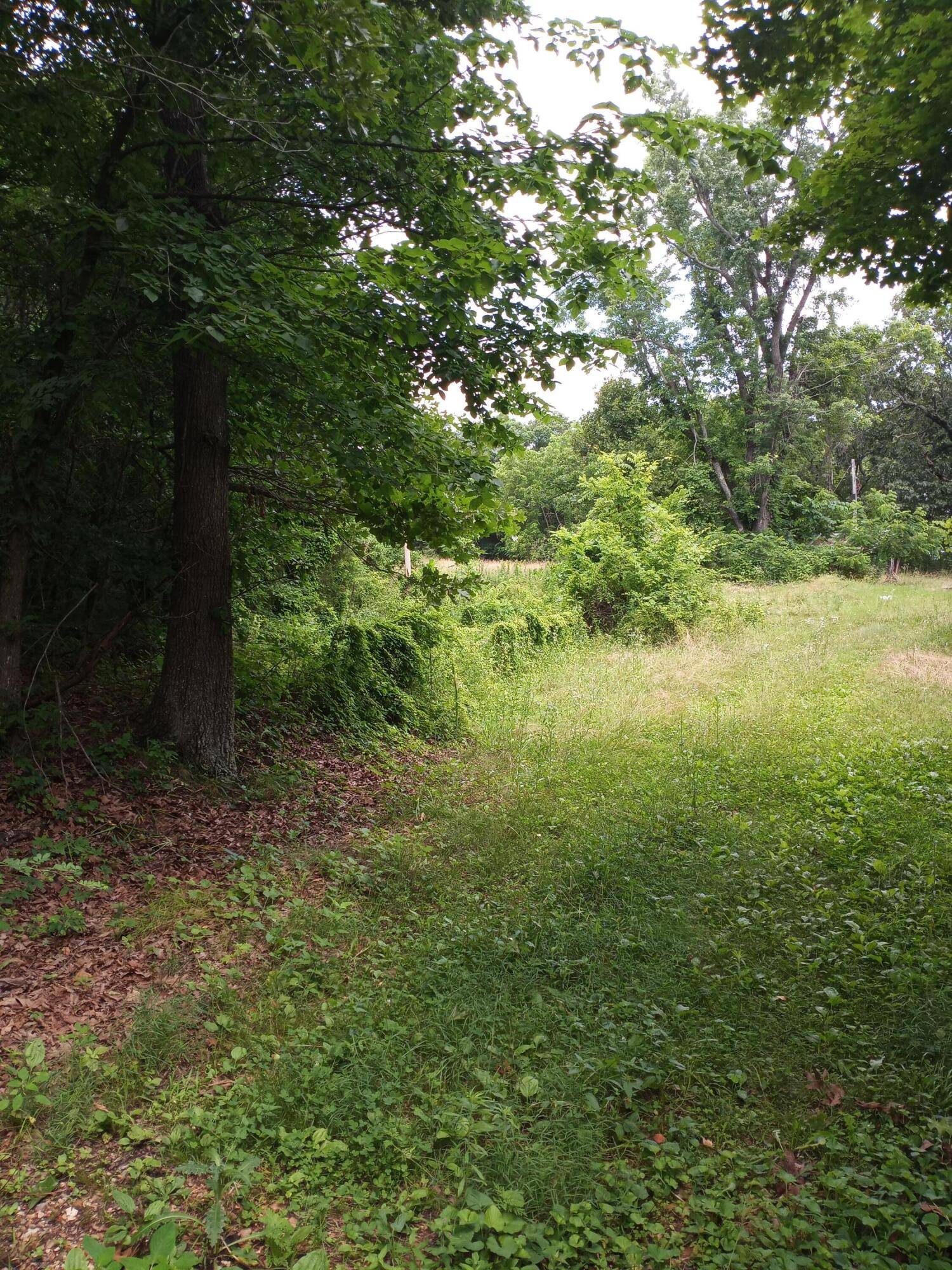 15734 Farm Road 2140, Cassville, MO 65625