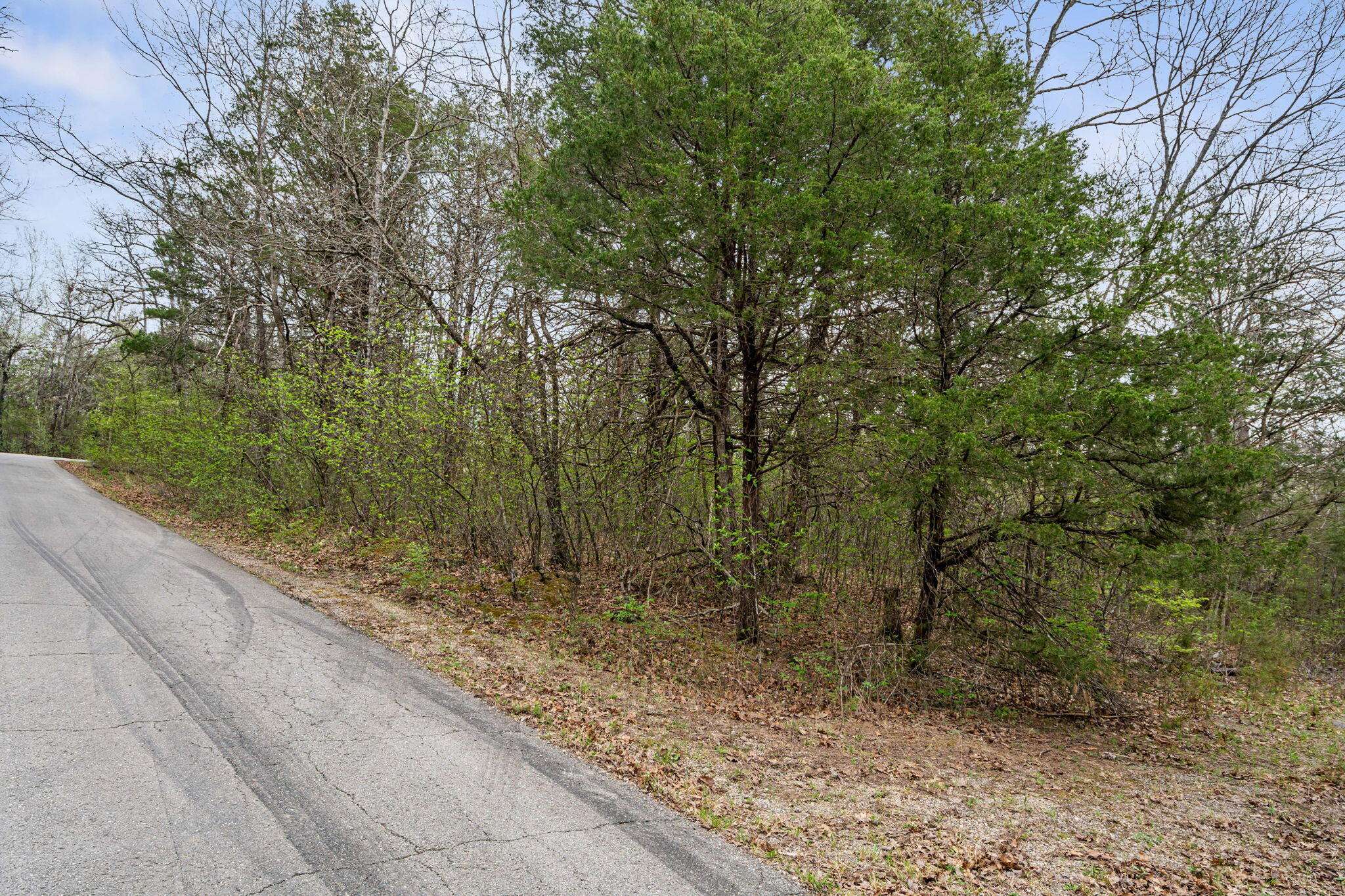 342 & 343 Turkey Mountain Estates, Shell Knob, MO 65747