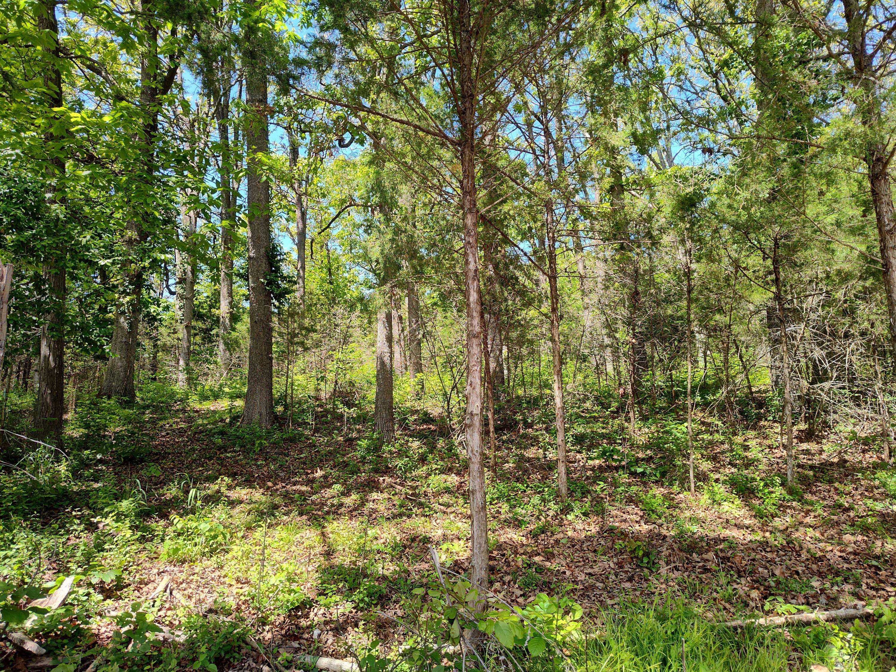 000 Woodland DR, Buffalo, MO 65622