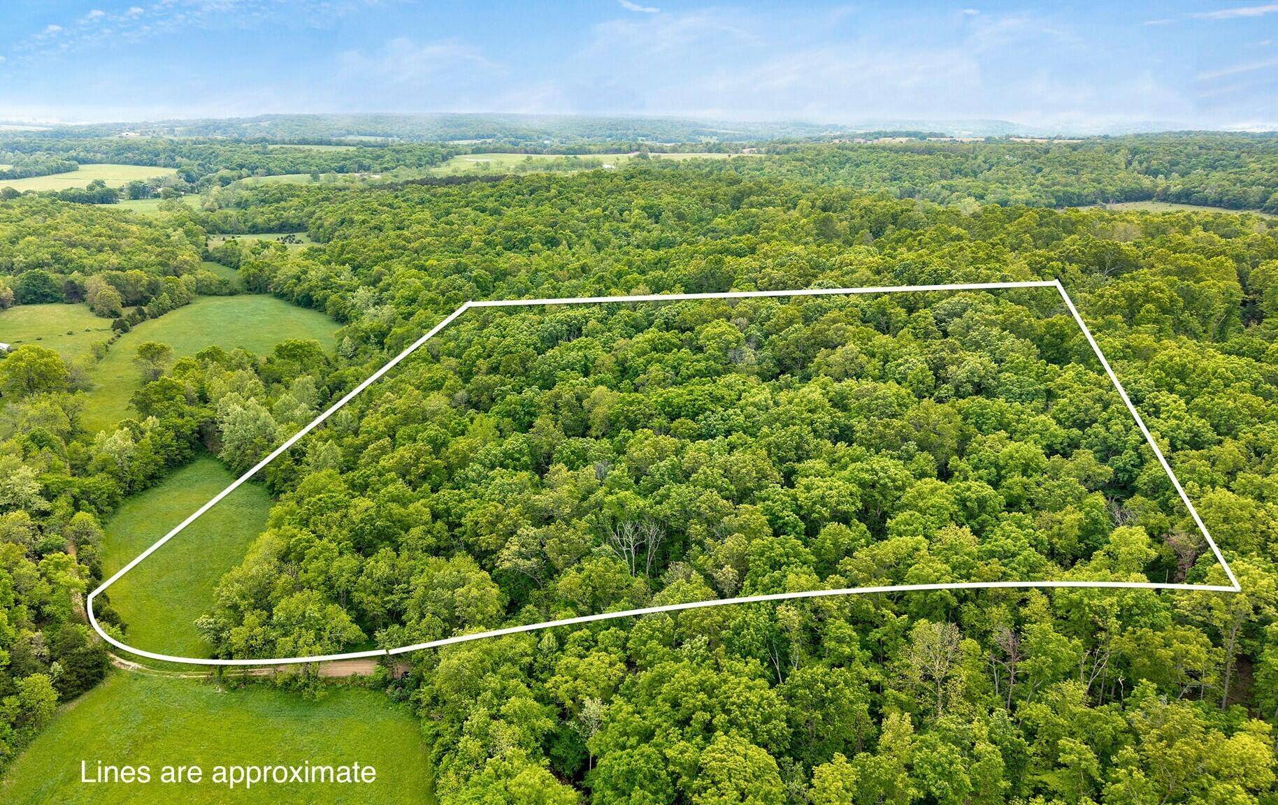 000 Woodland DR, Hartville, MO 65667