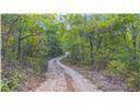 80+/-Acres Proctor LN, Gravois Mills, MO 65037
