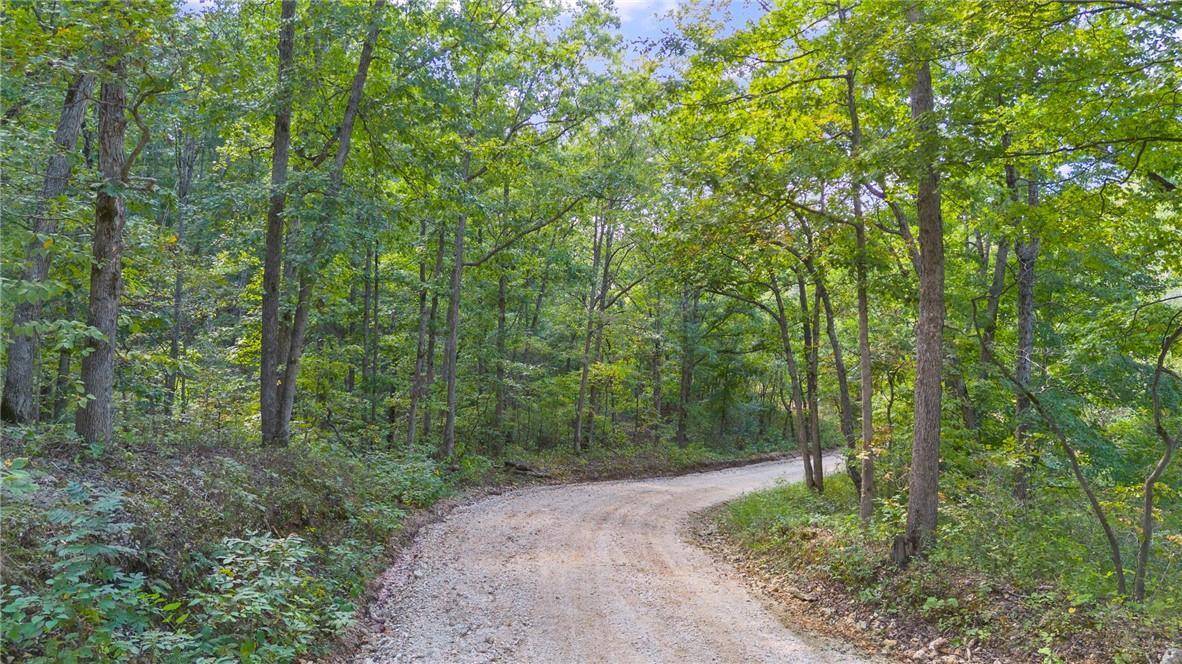 80+/-Acres Proctor LN, Gravois Mills, MO 65037