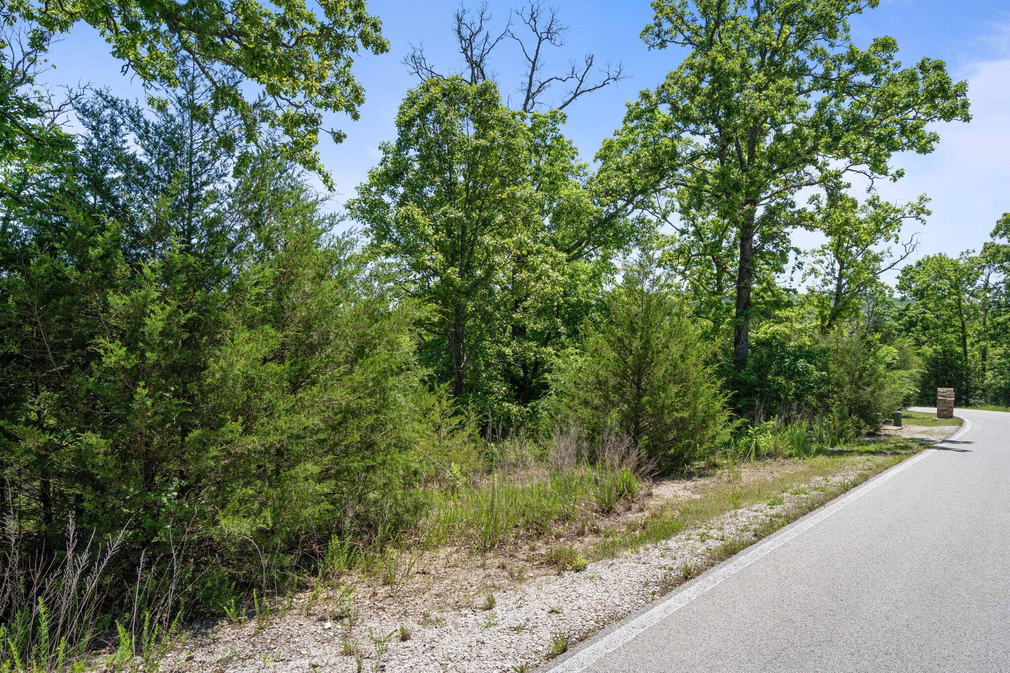 Lot 134 Beechwood DR, Branson West, MO 65737