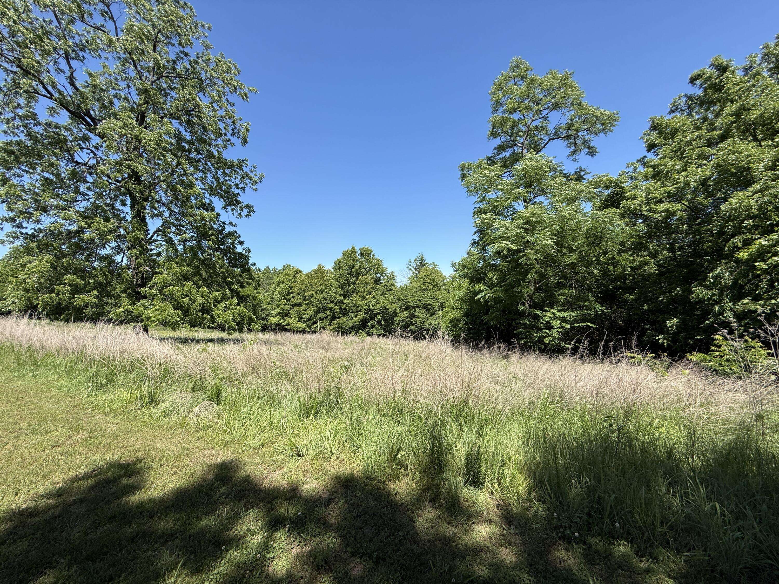 000 S 1507 RD, Stockton, MO 65785